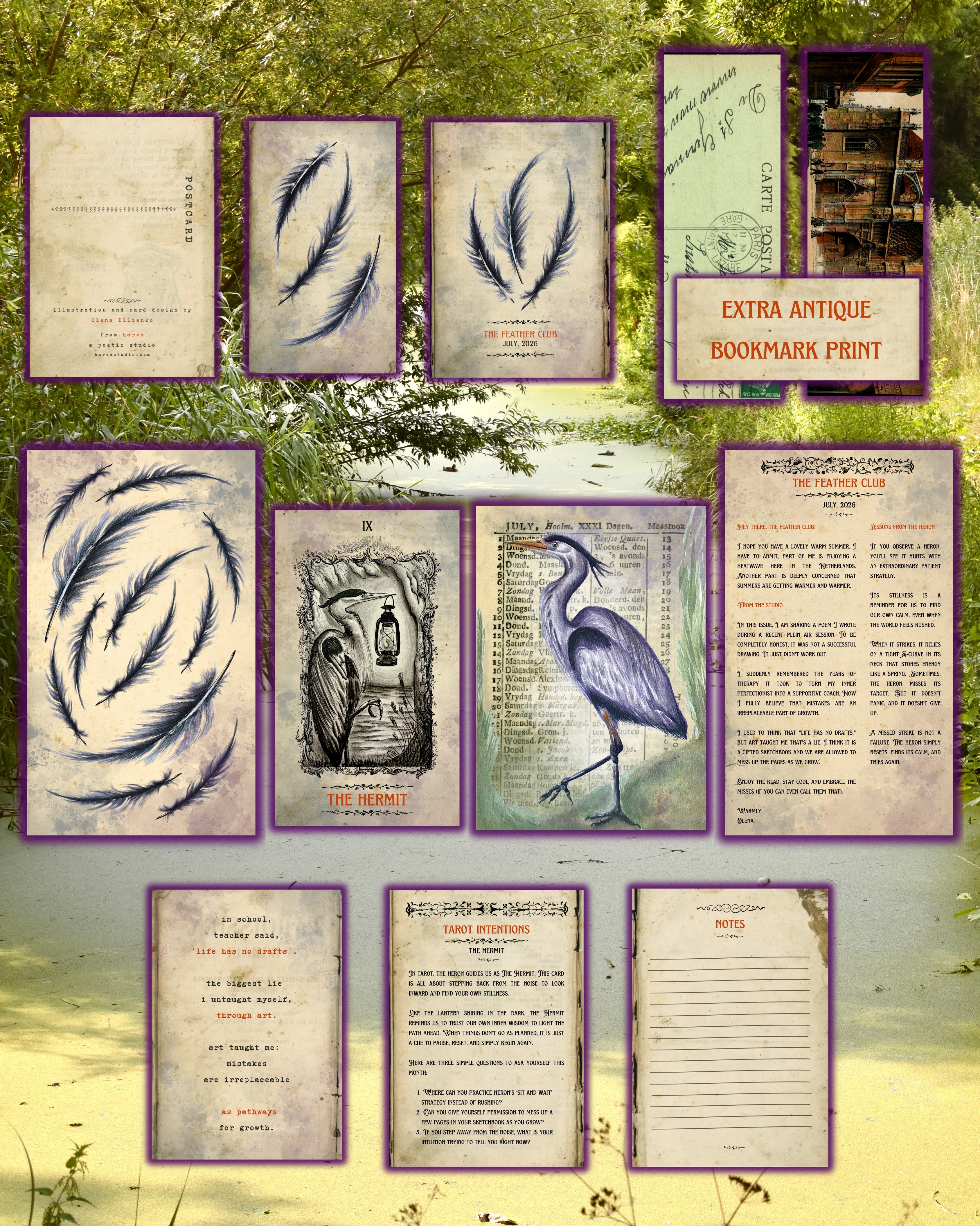 July Feather Club: The Grey Heron