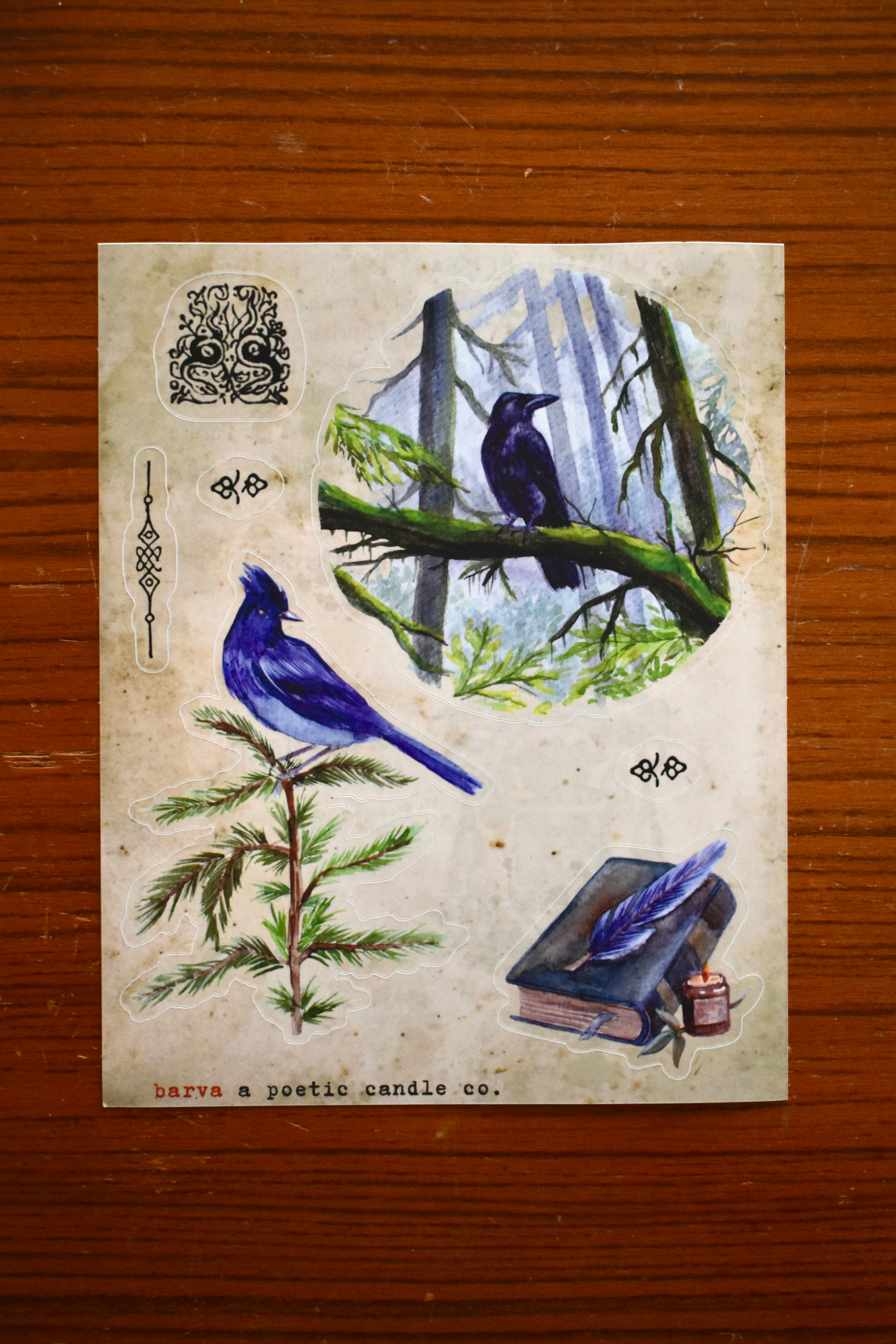 forest nocturne: vinyl sticker sheet