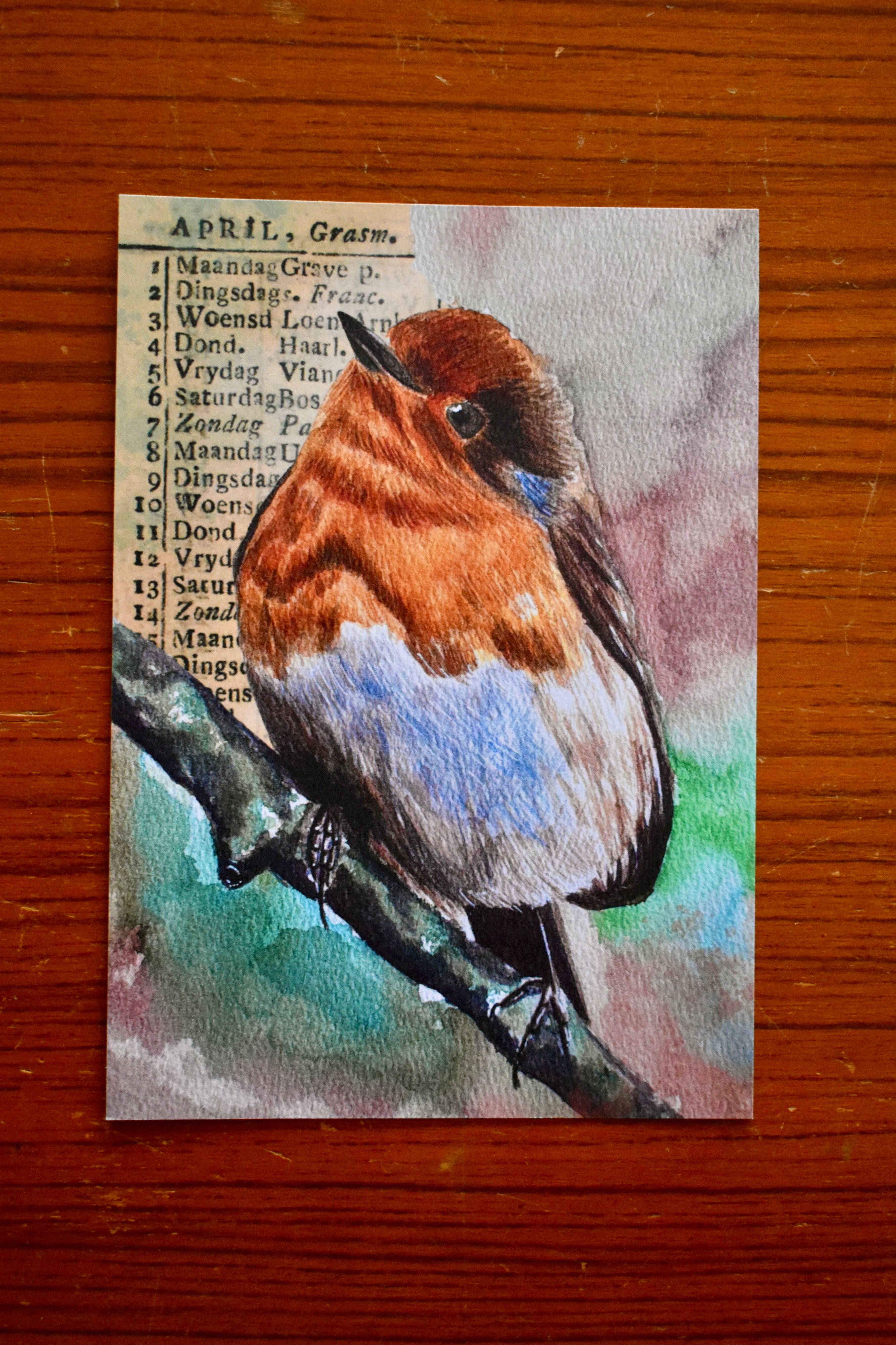 the hearth robin: watercolor art print