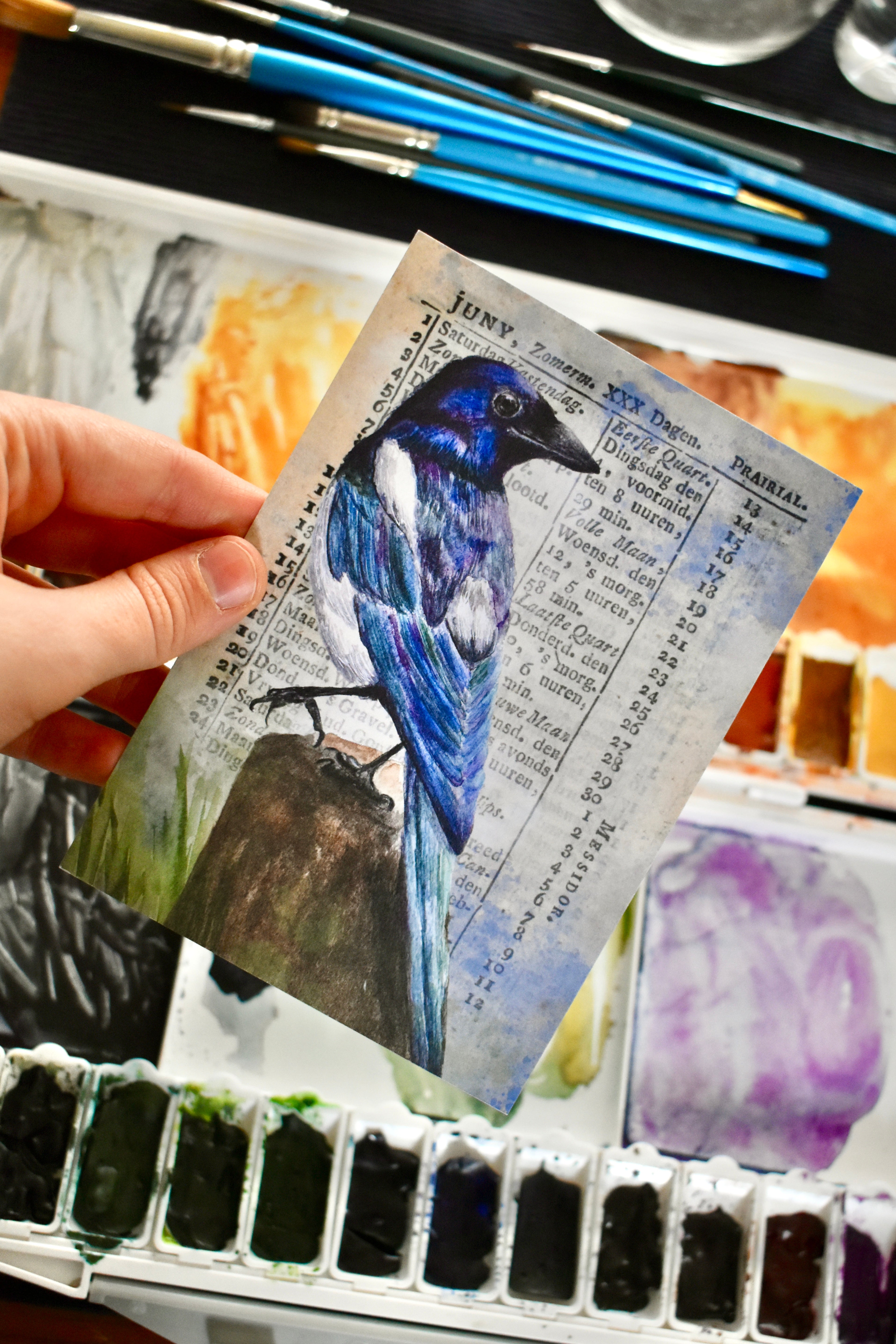 the watching magpie: watercolor art print