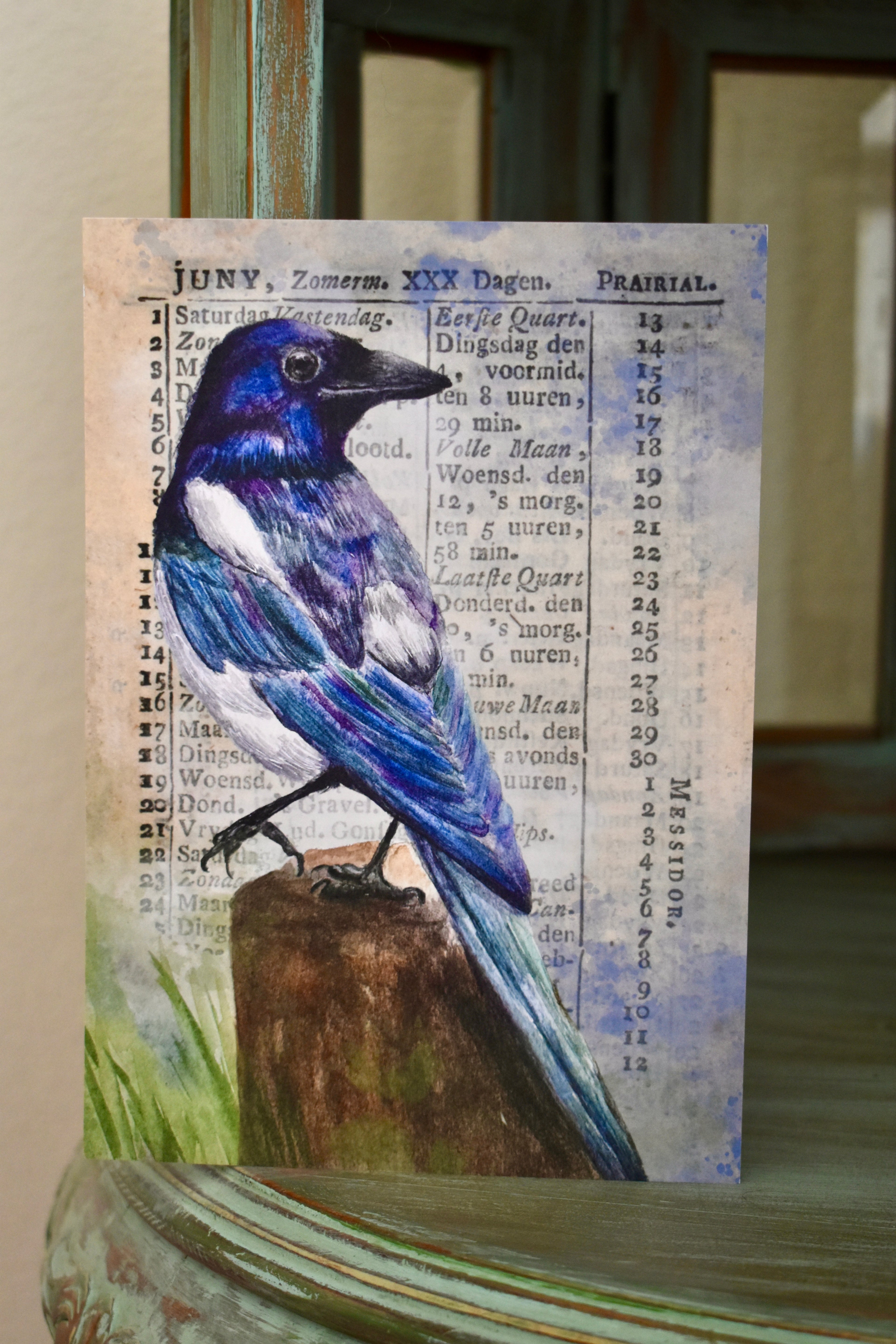 the watching magpie: watercolor art print