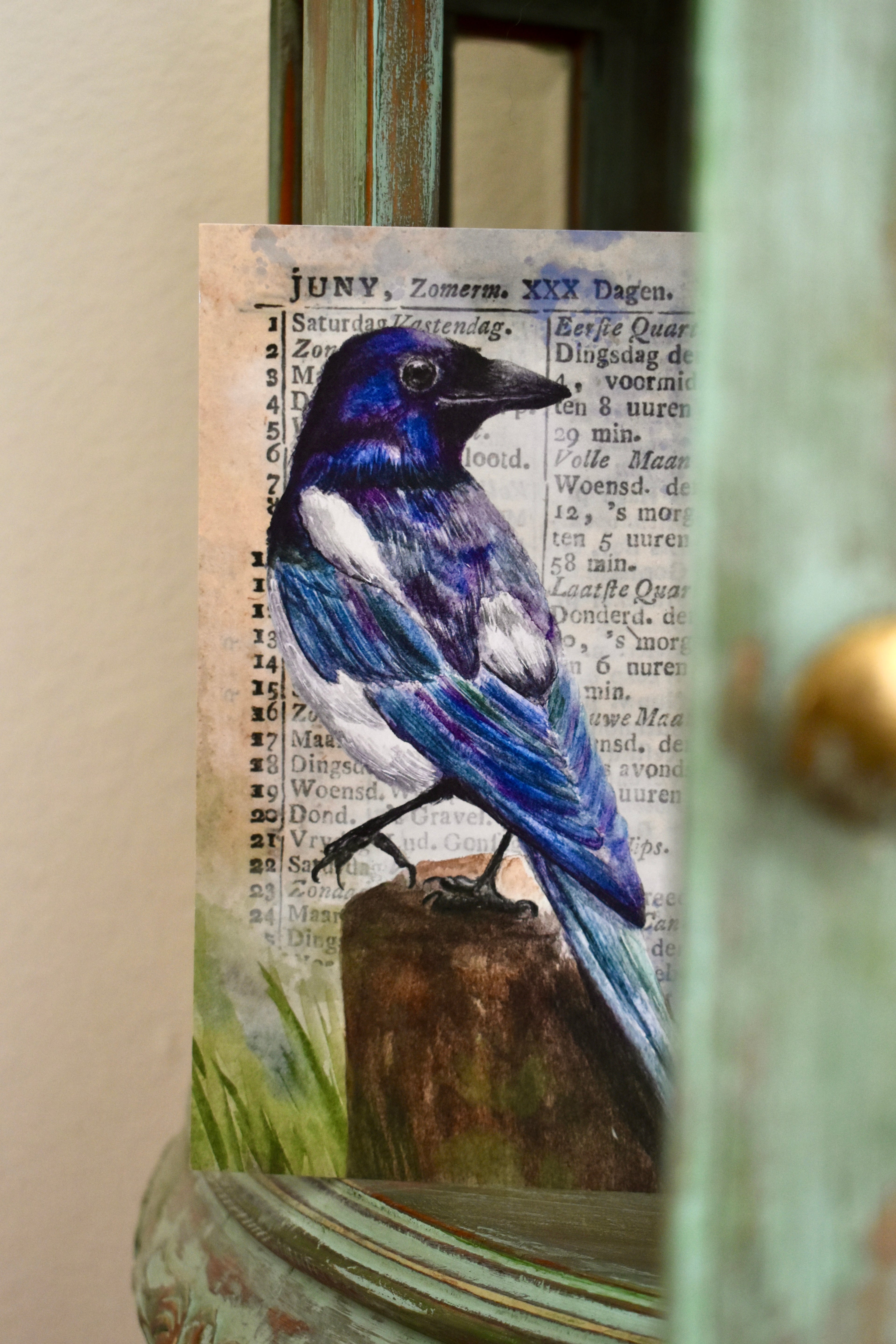 the watching magpie: watercolor art print