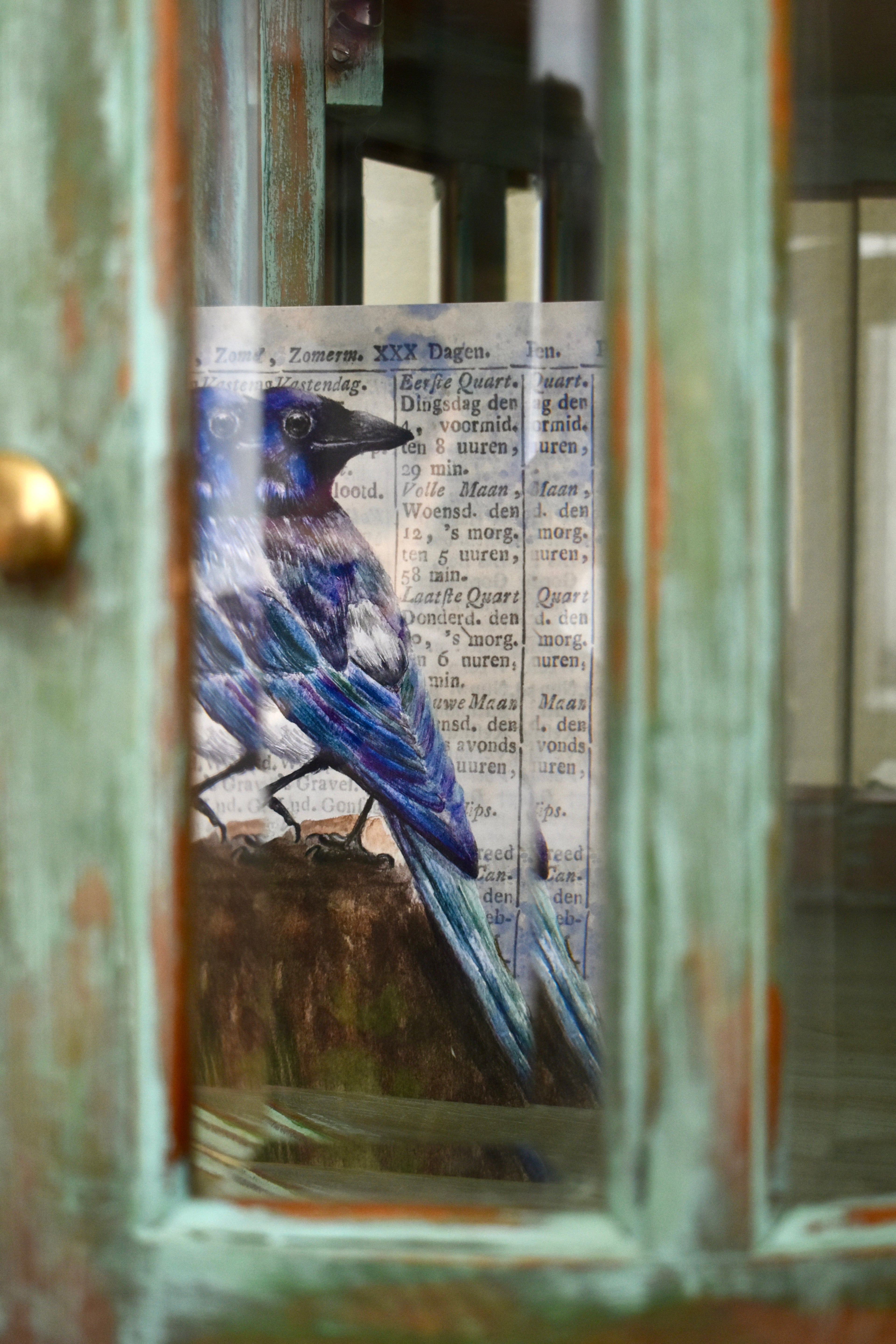 the watching magpie: watercolor art print