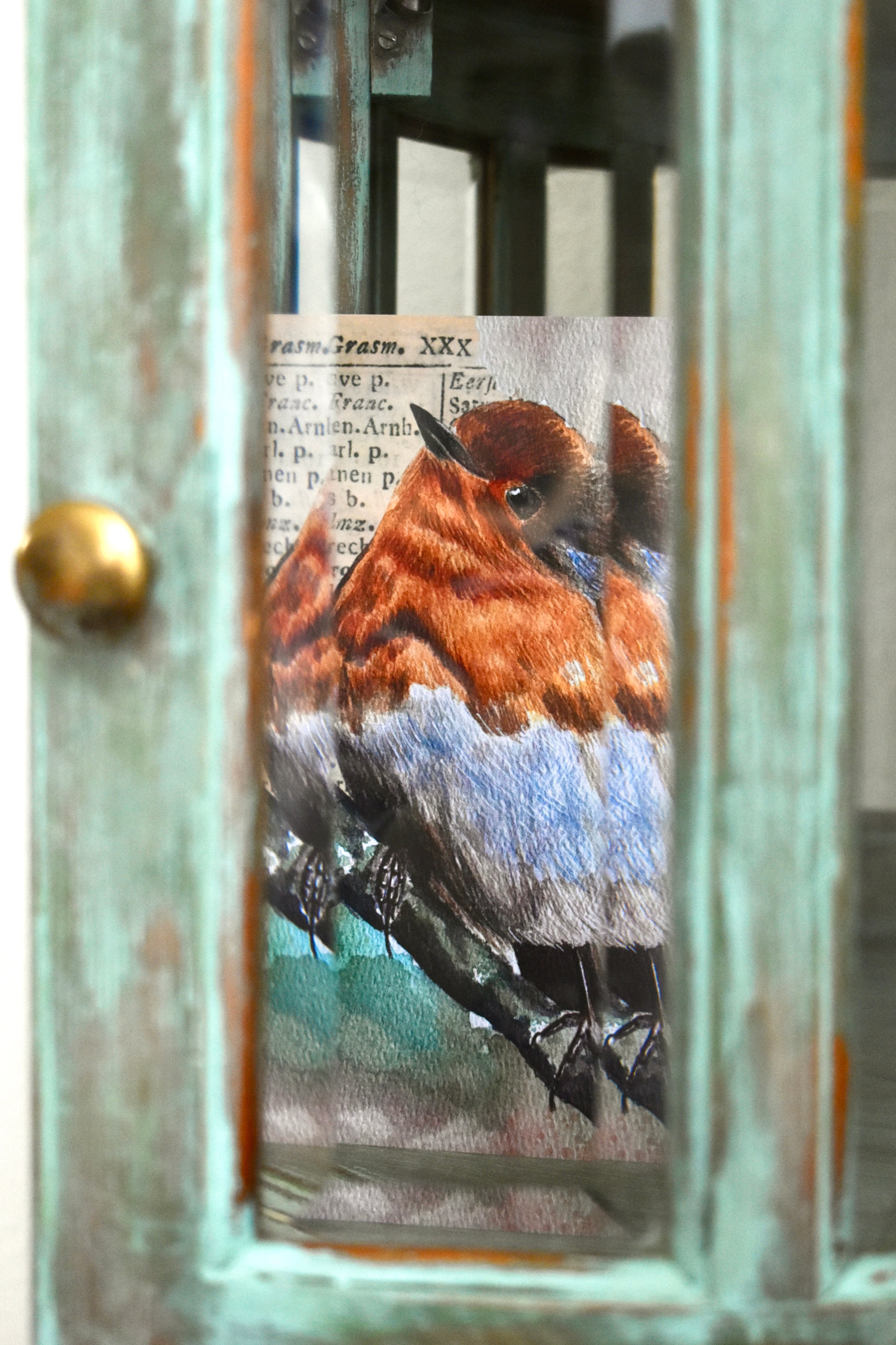 the hearth robin: watercolor art print