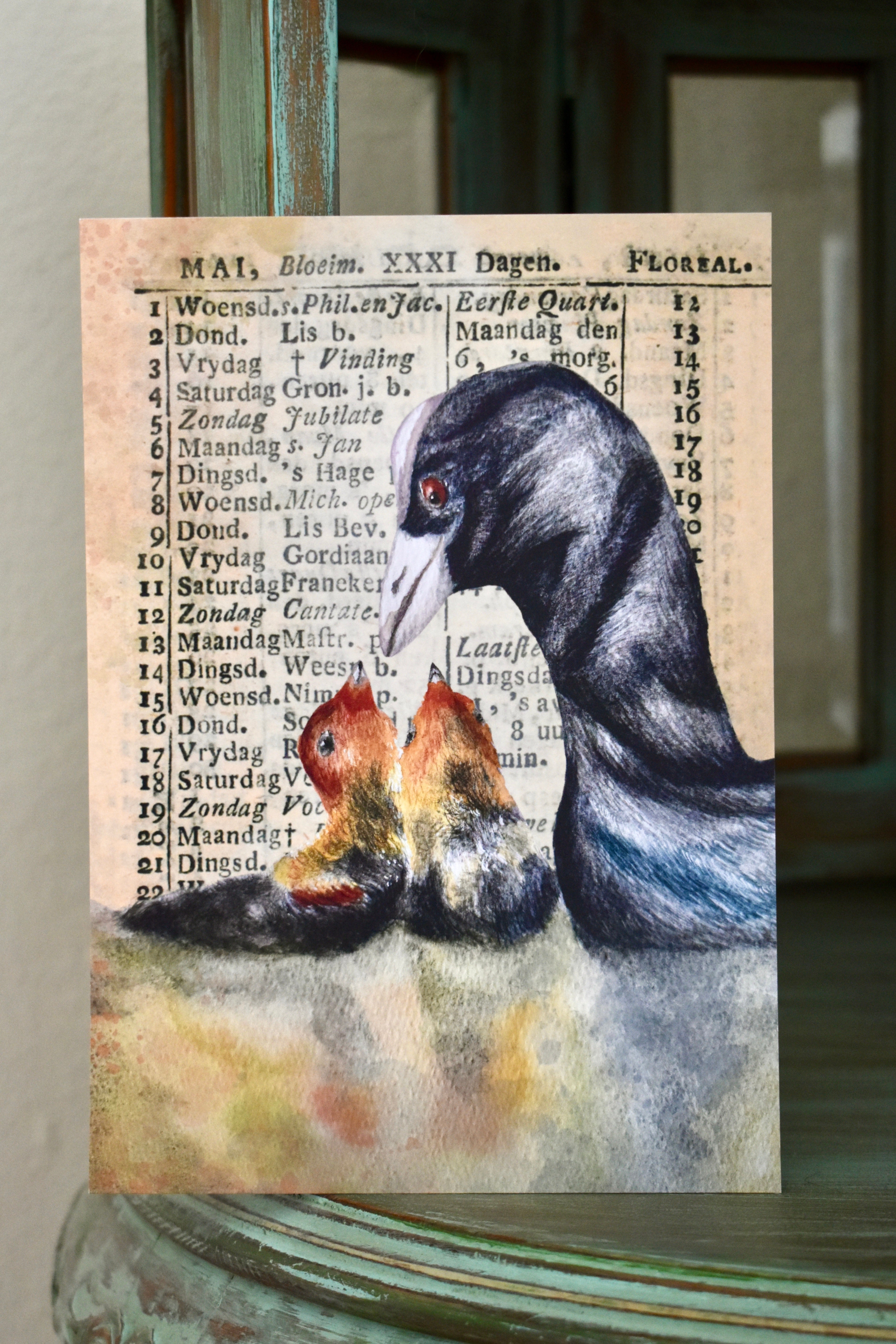 the tender coot: watercolor art print