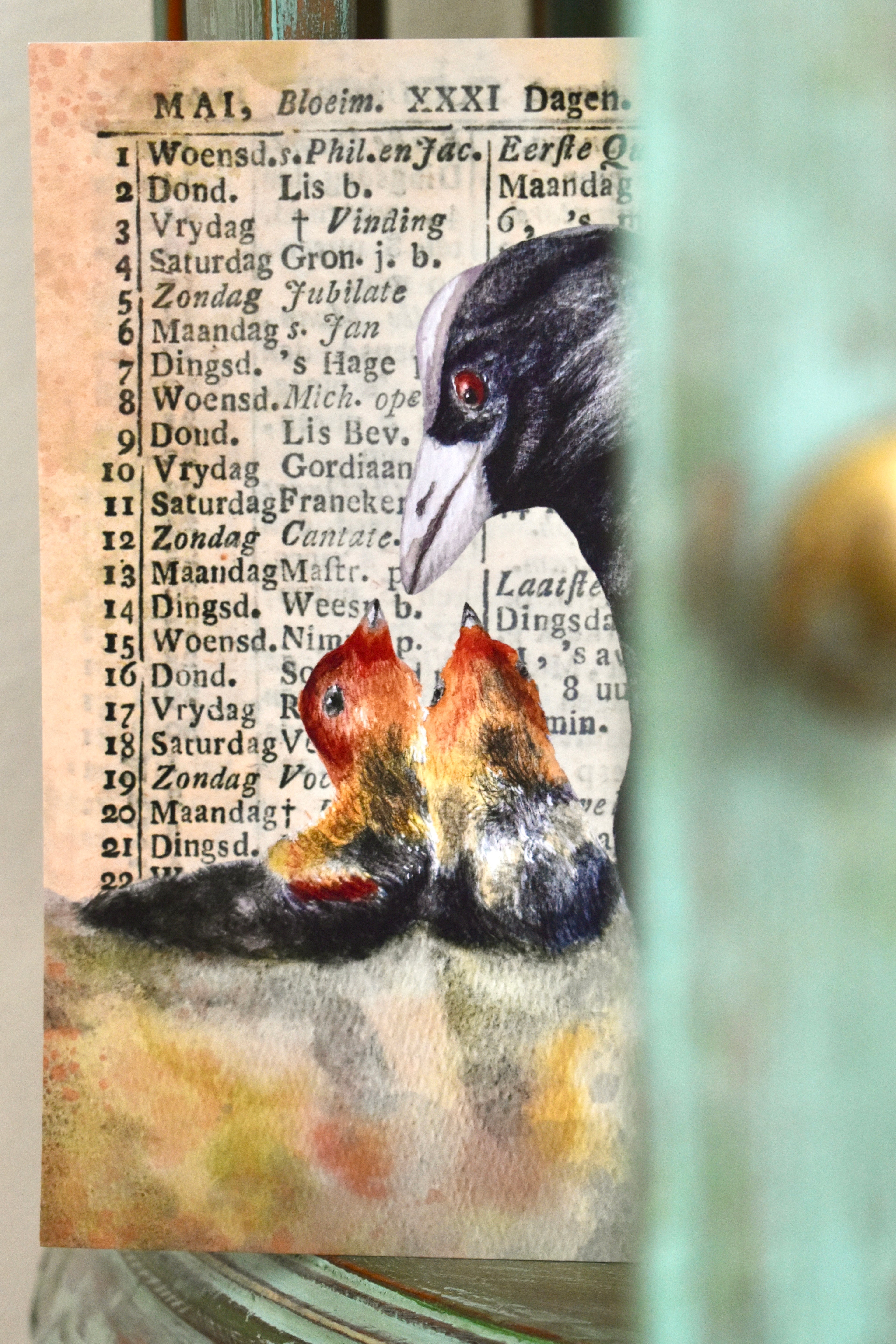 the tender coot: watercolor art print