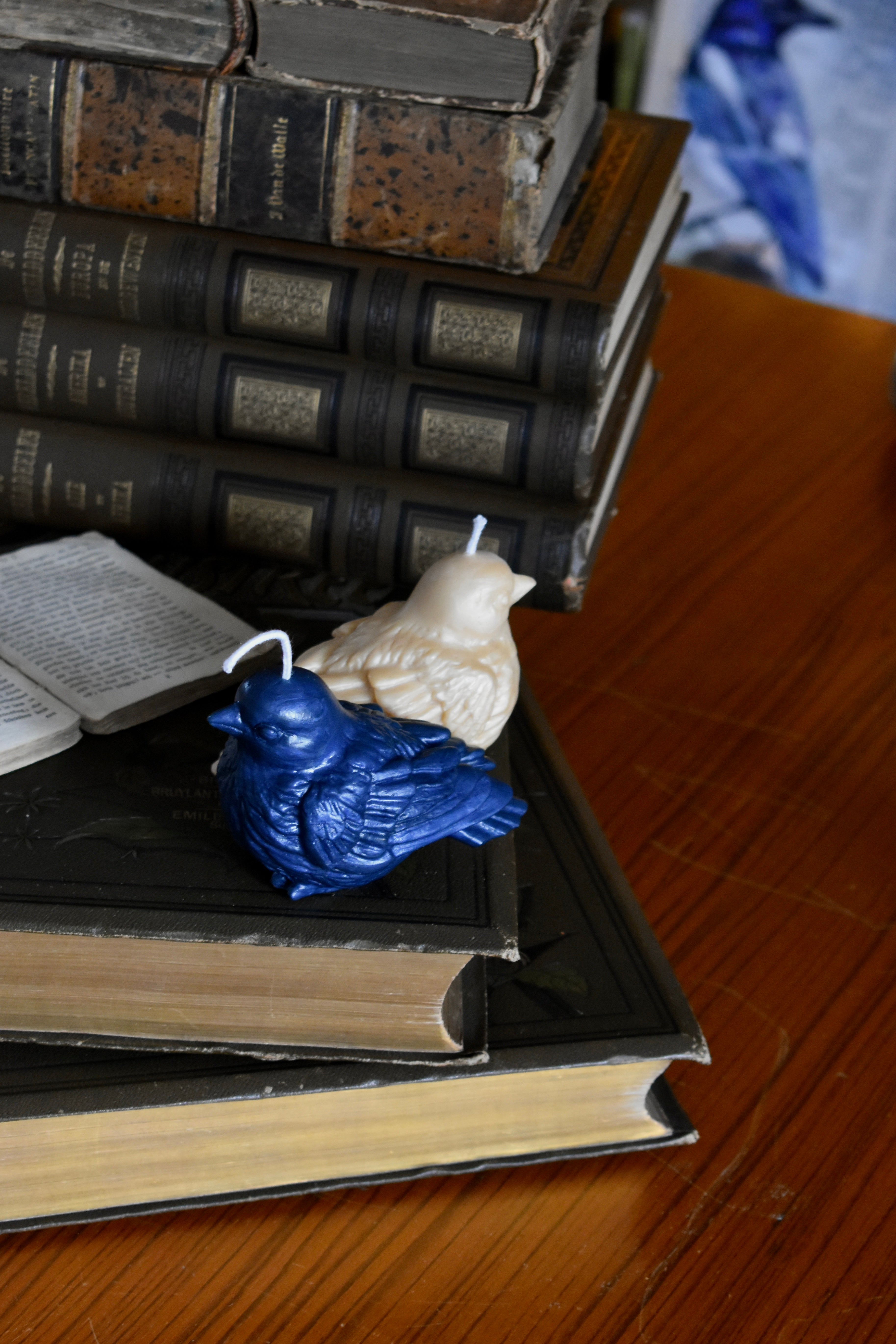 beeswax bird