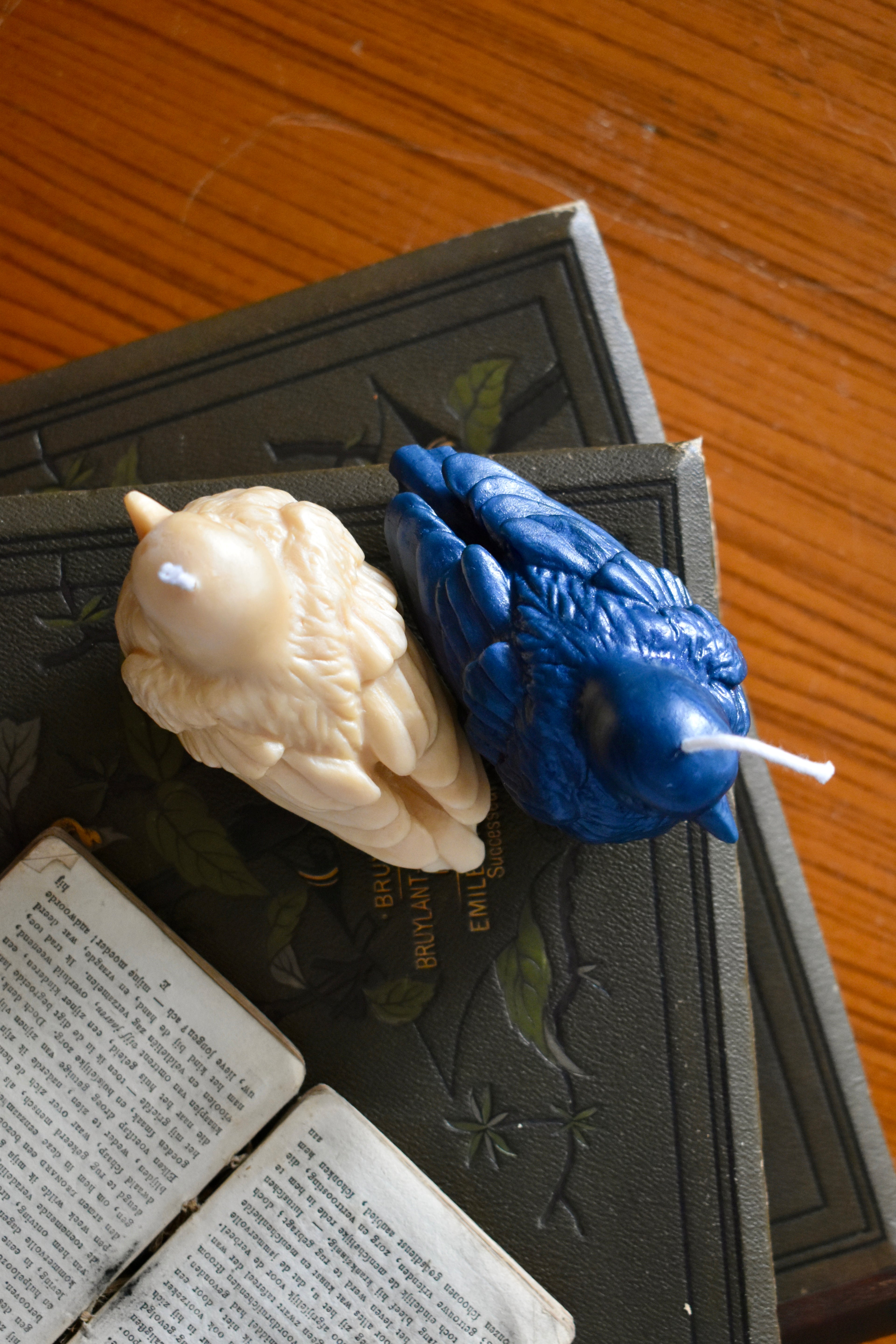 beeswax bird