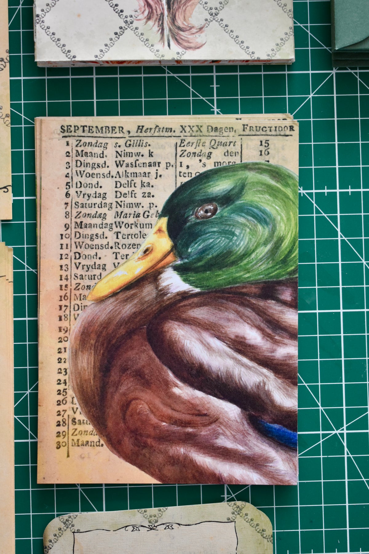 September Feather Club: The Lighthearted Duck