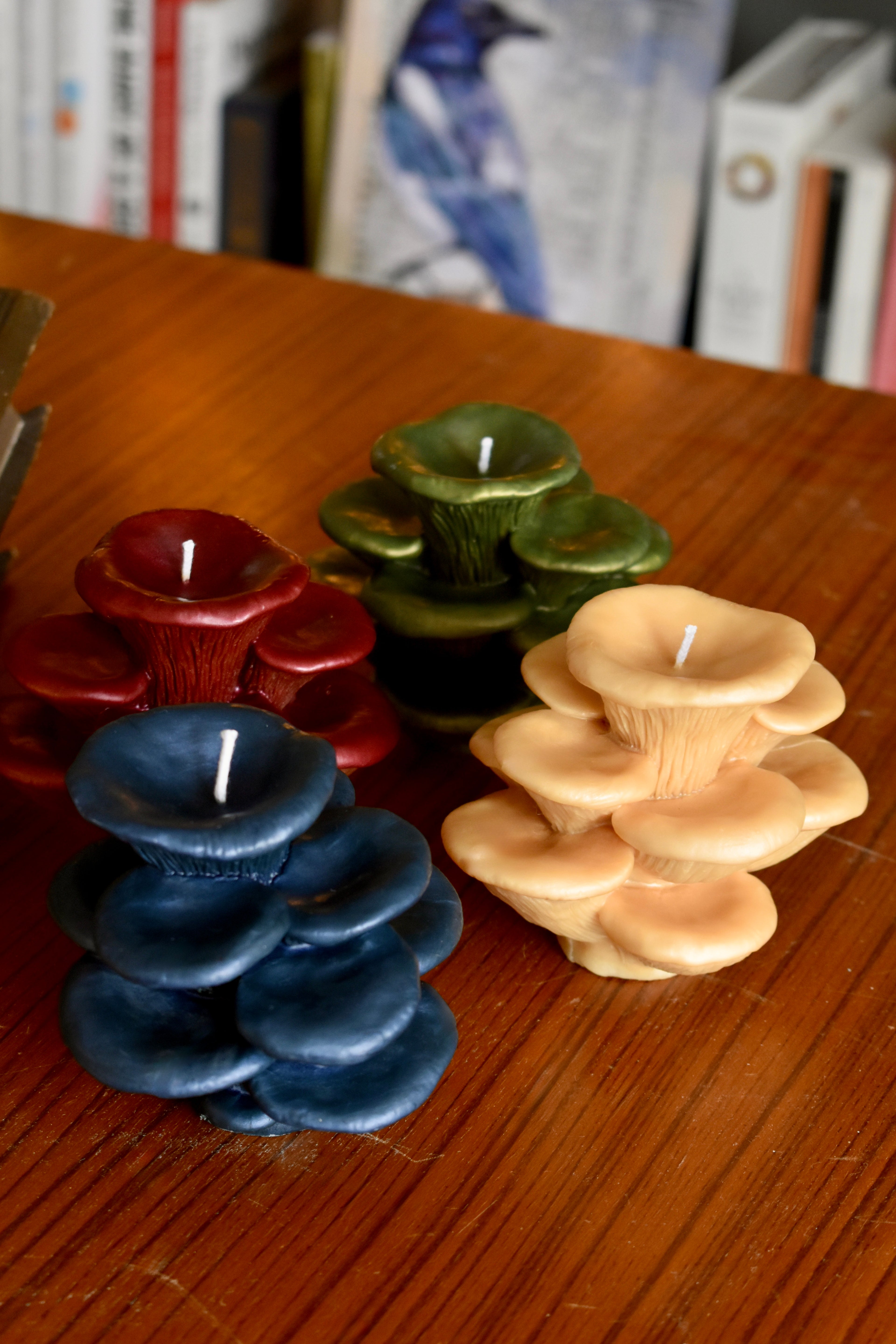 beeswax mushroom