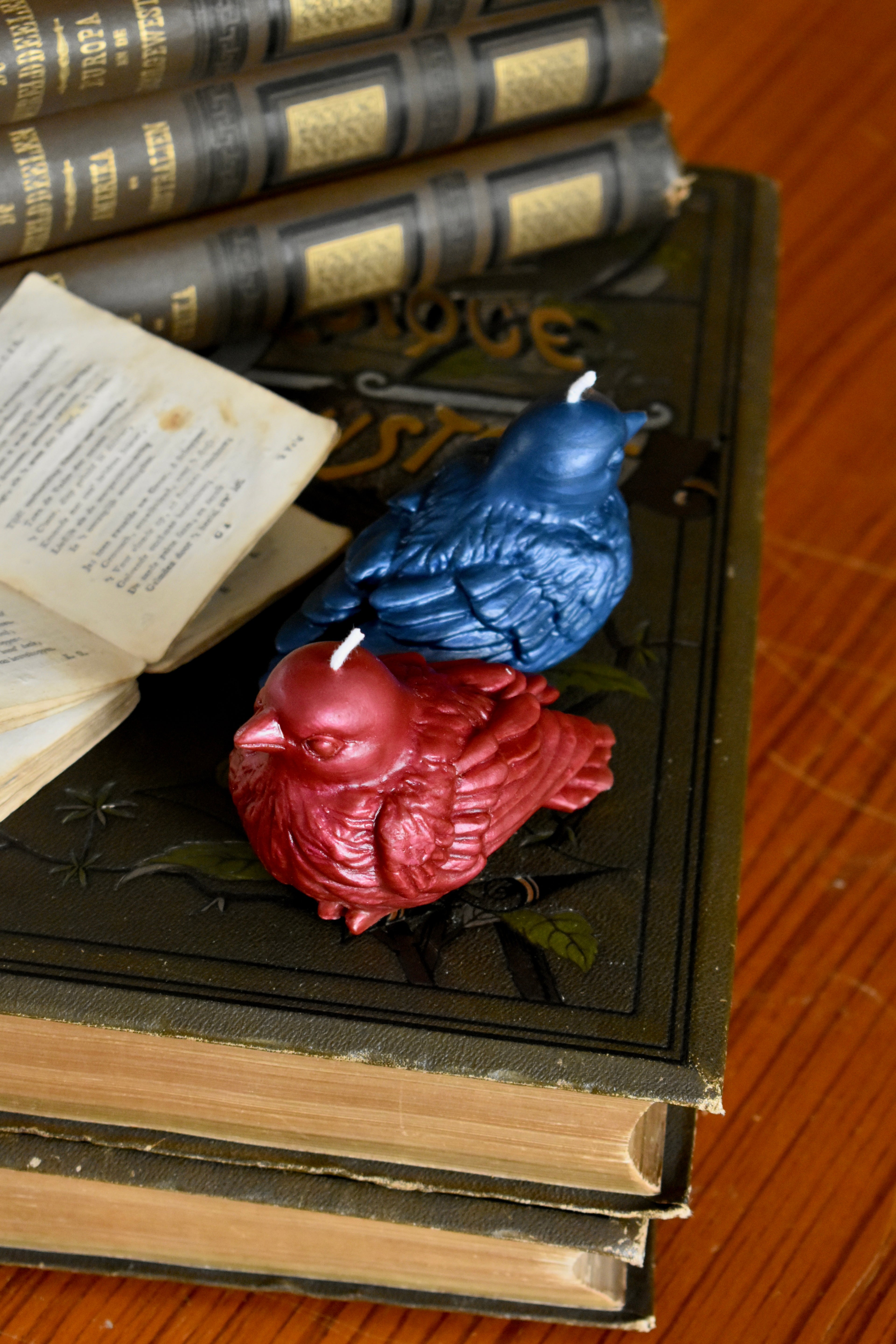 beeswax bird