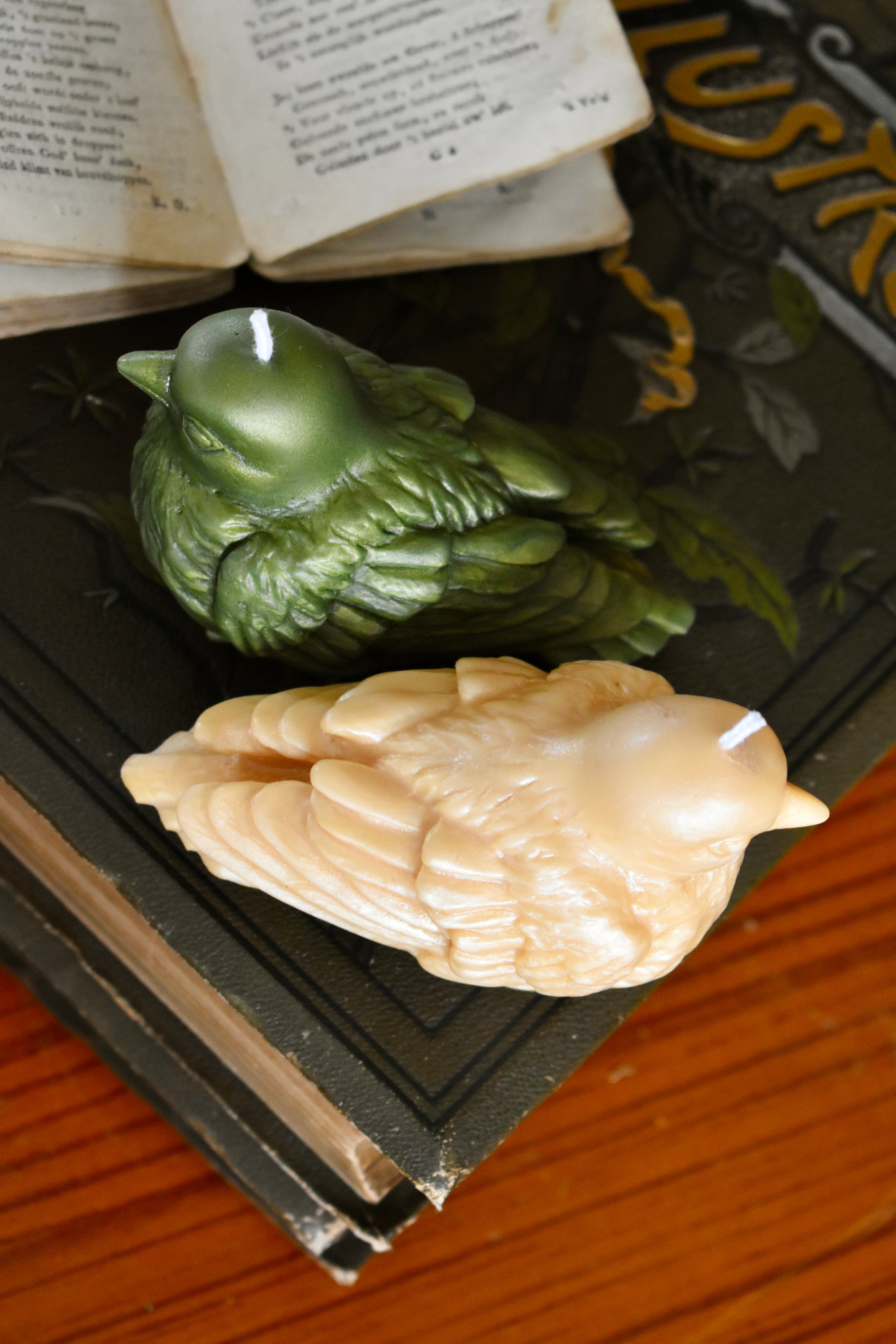 beeswax bird