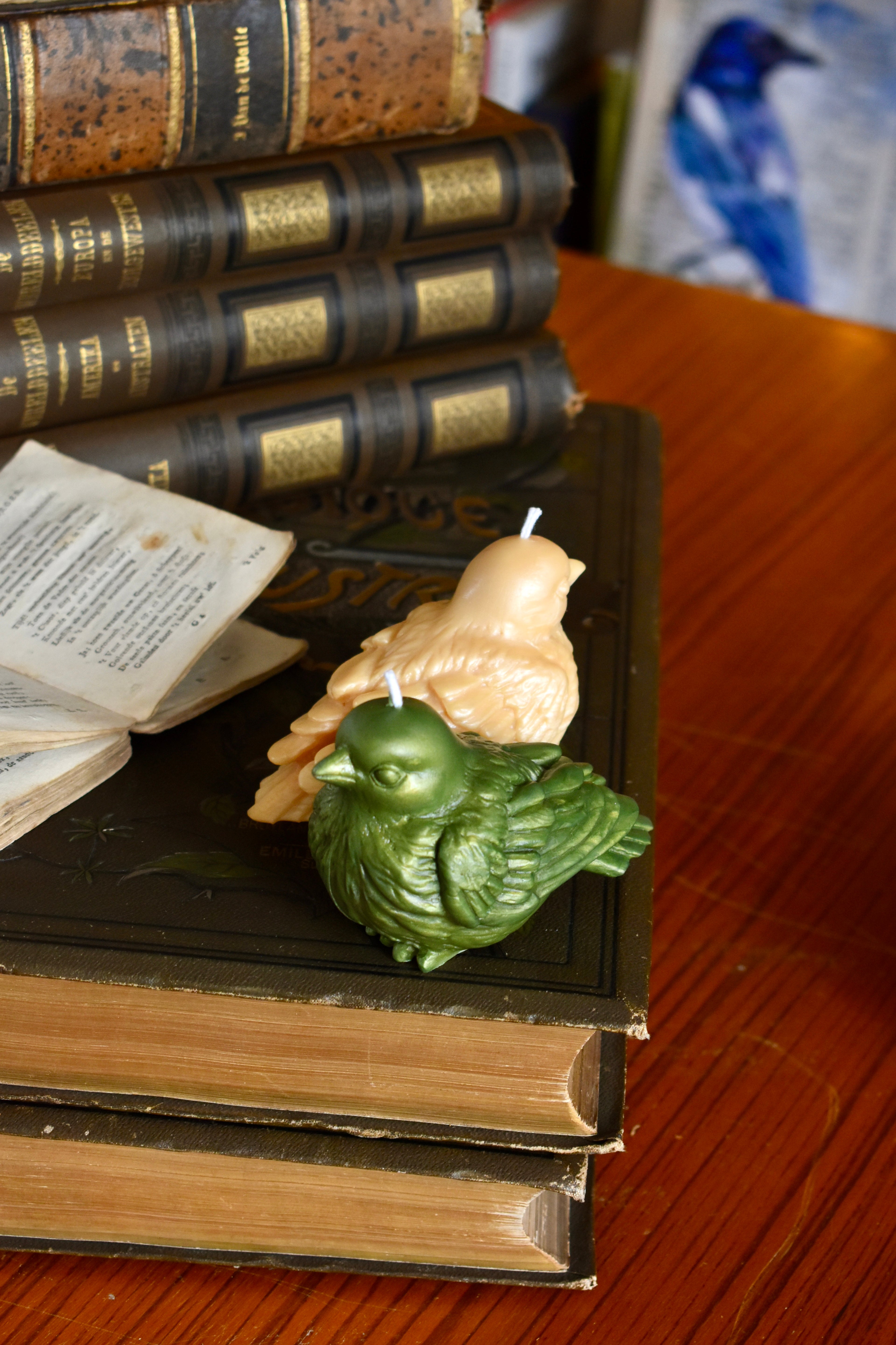 beeswax bird