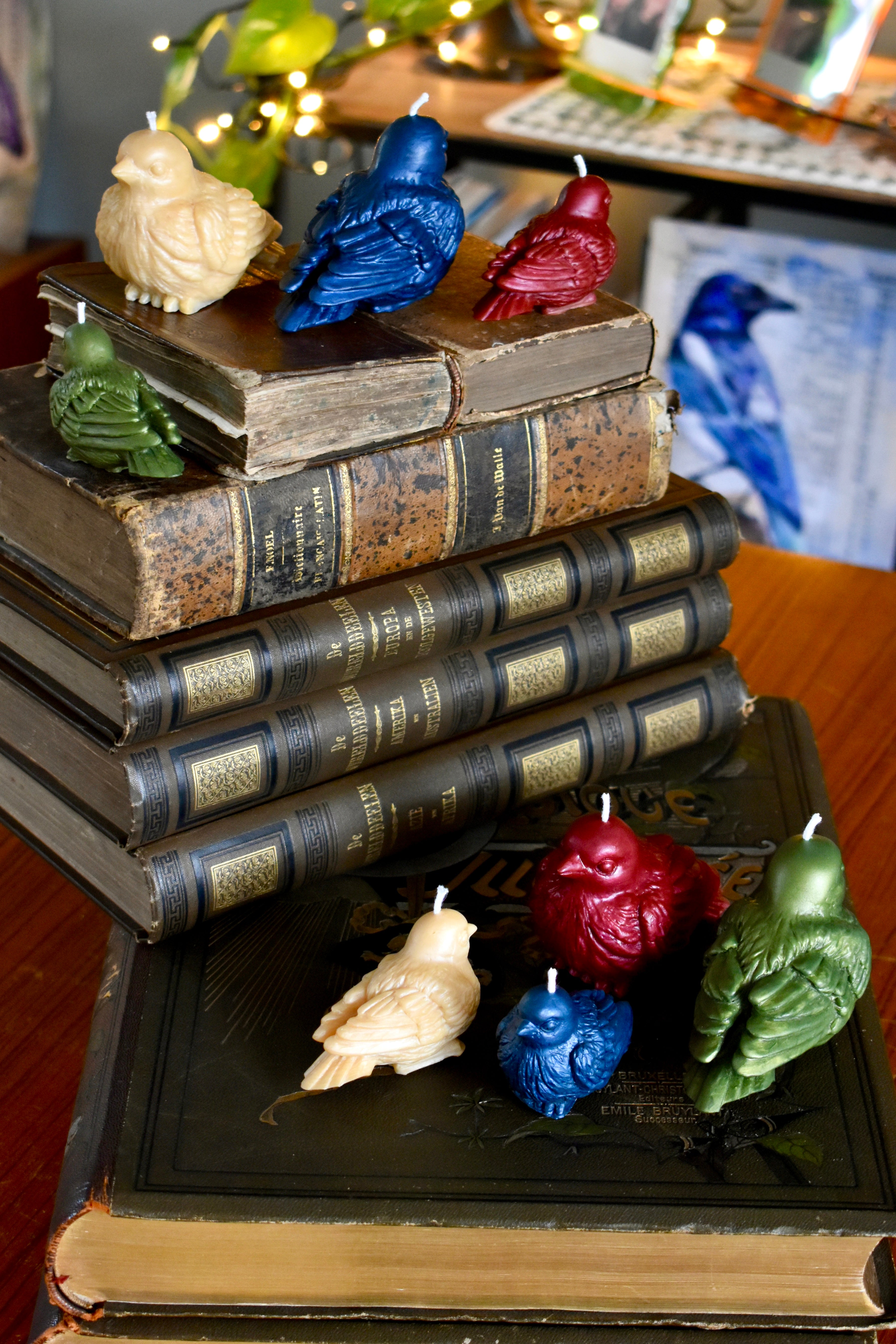 beeswax bird