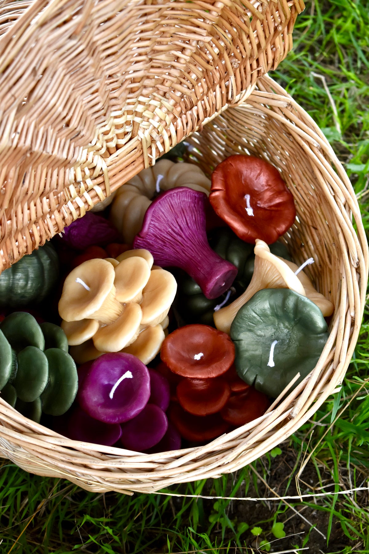 Beeswax Mushrooms