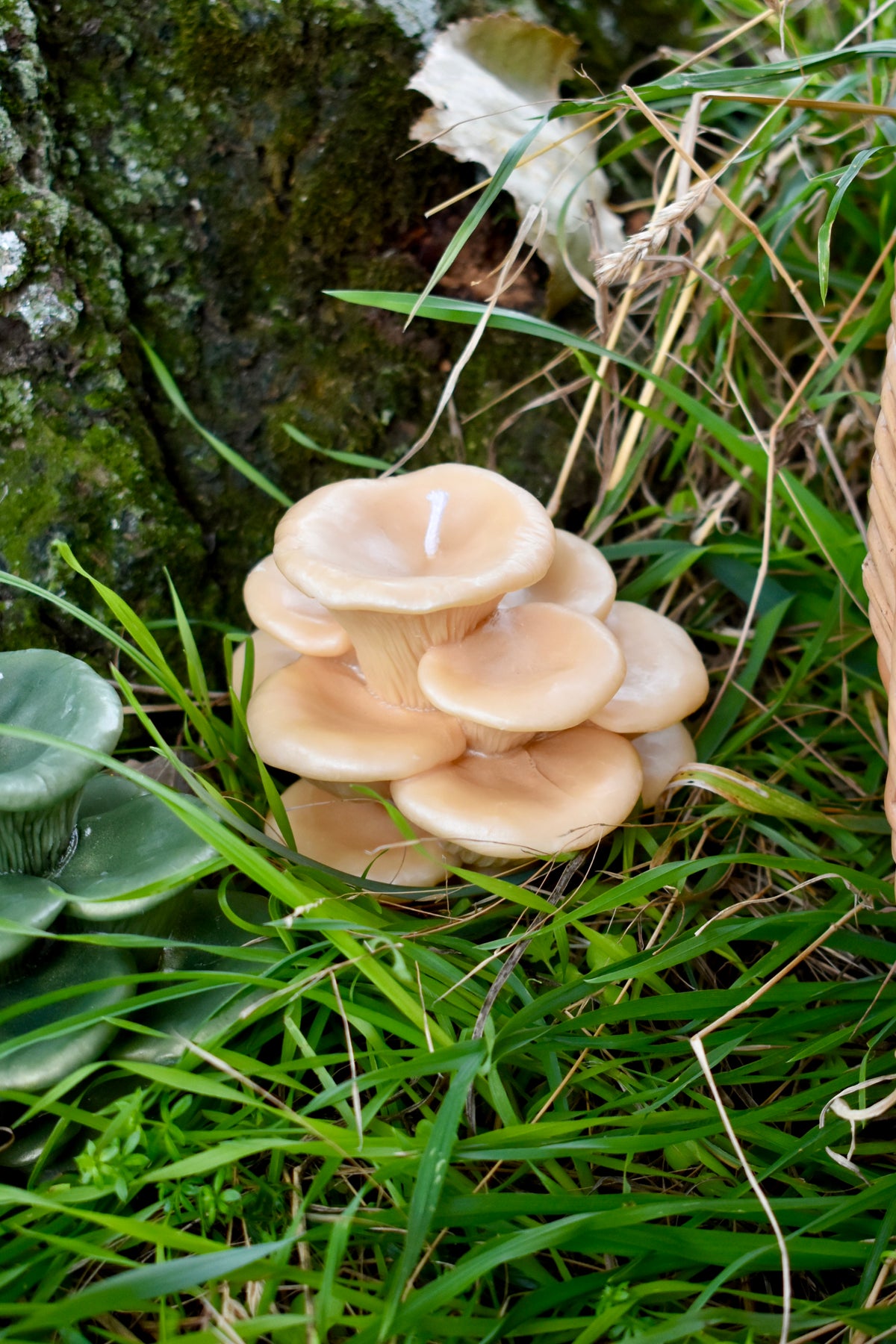 Beeswax Mushrooms