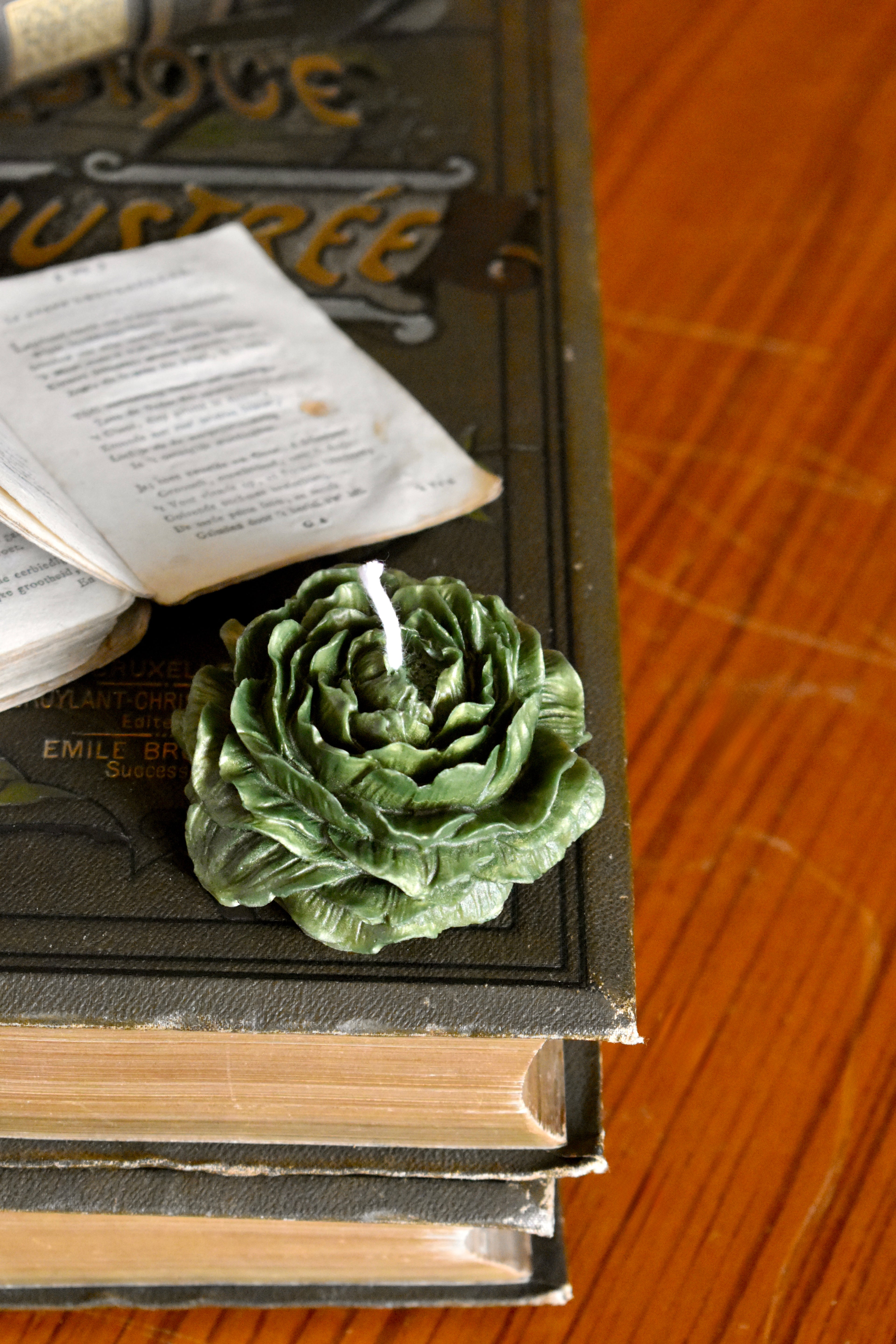 beeswax bloom