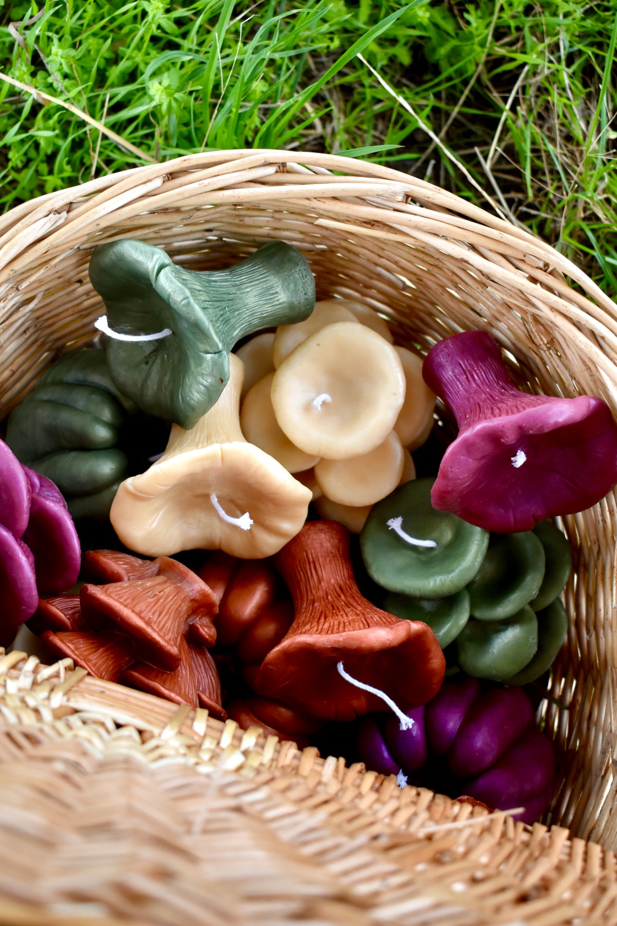 Beeswax Mushrooms