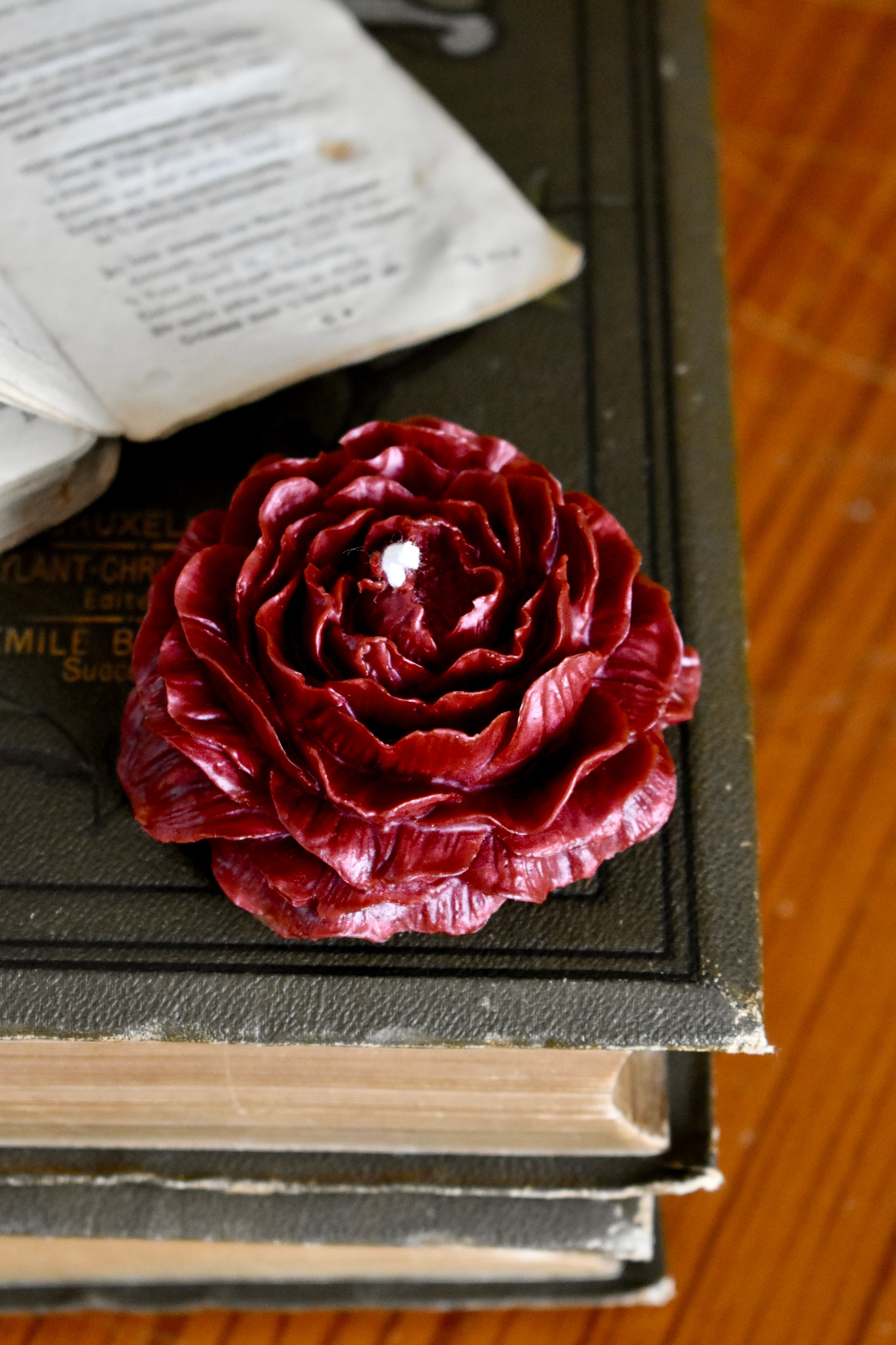 beeswax bloom
