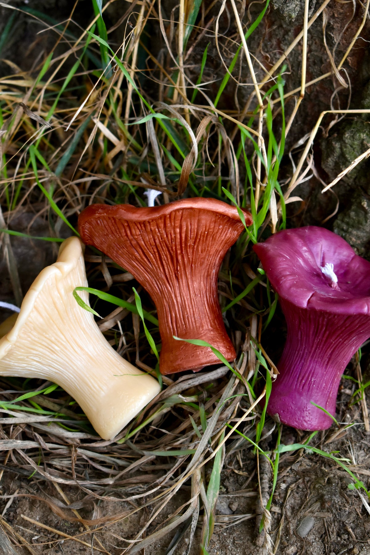 Beeswax Mushrooms