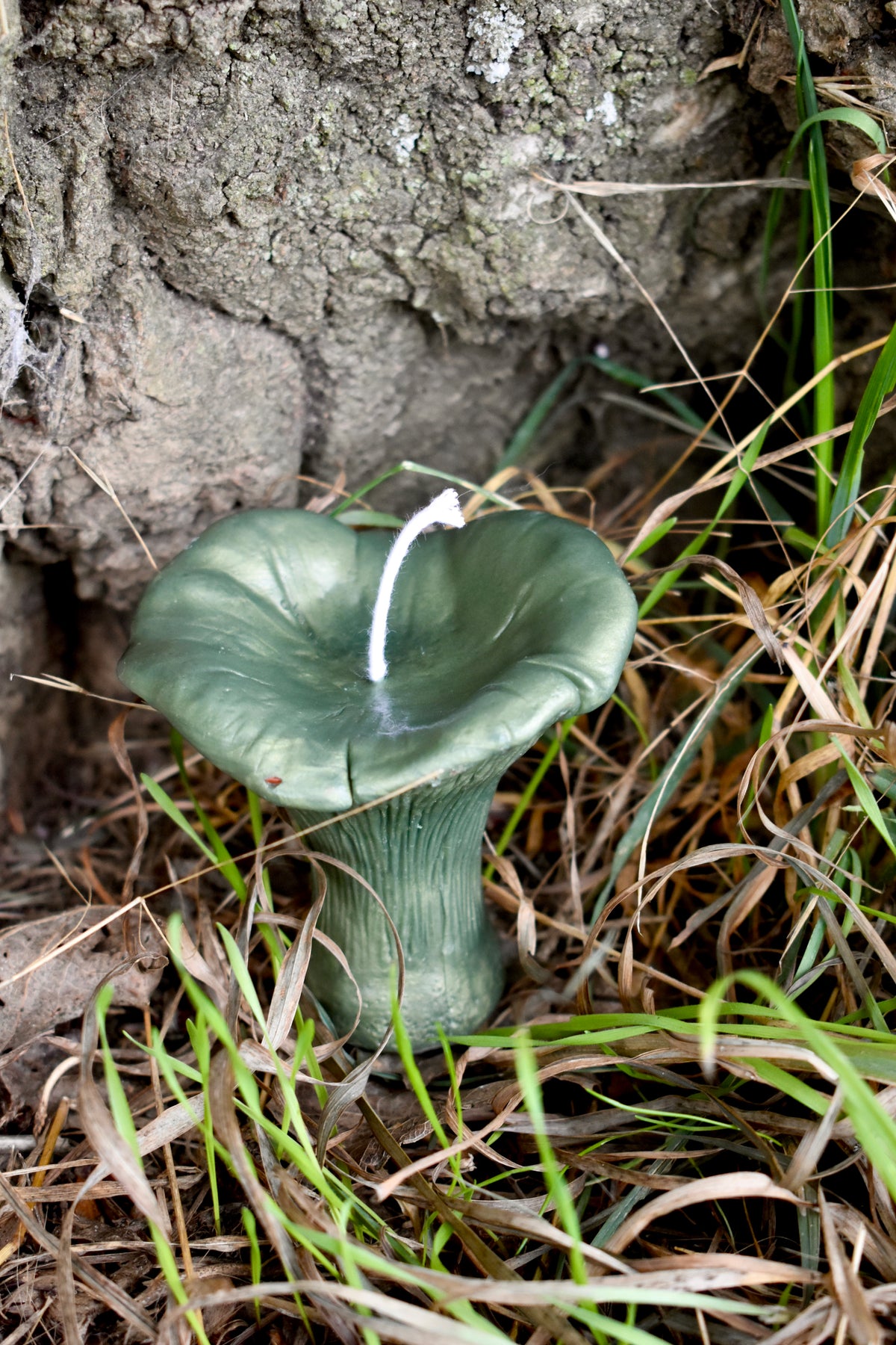Beeswax Mushrooms