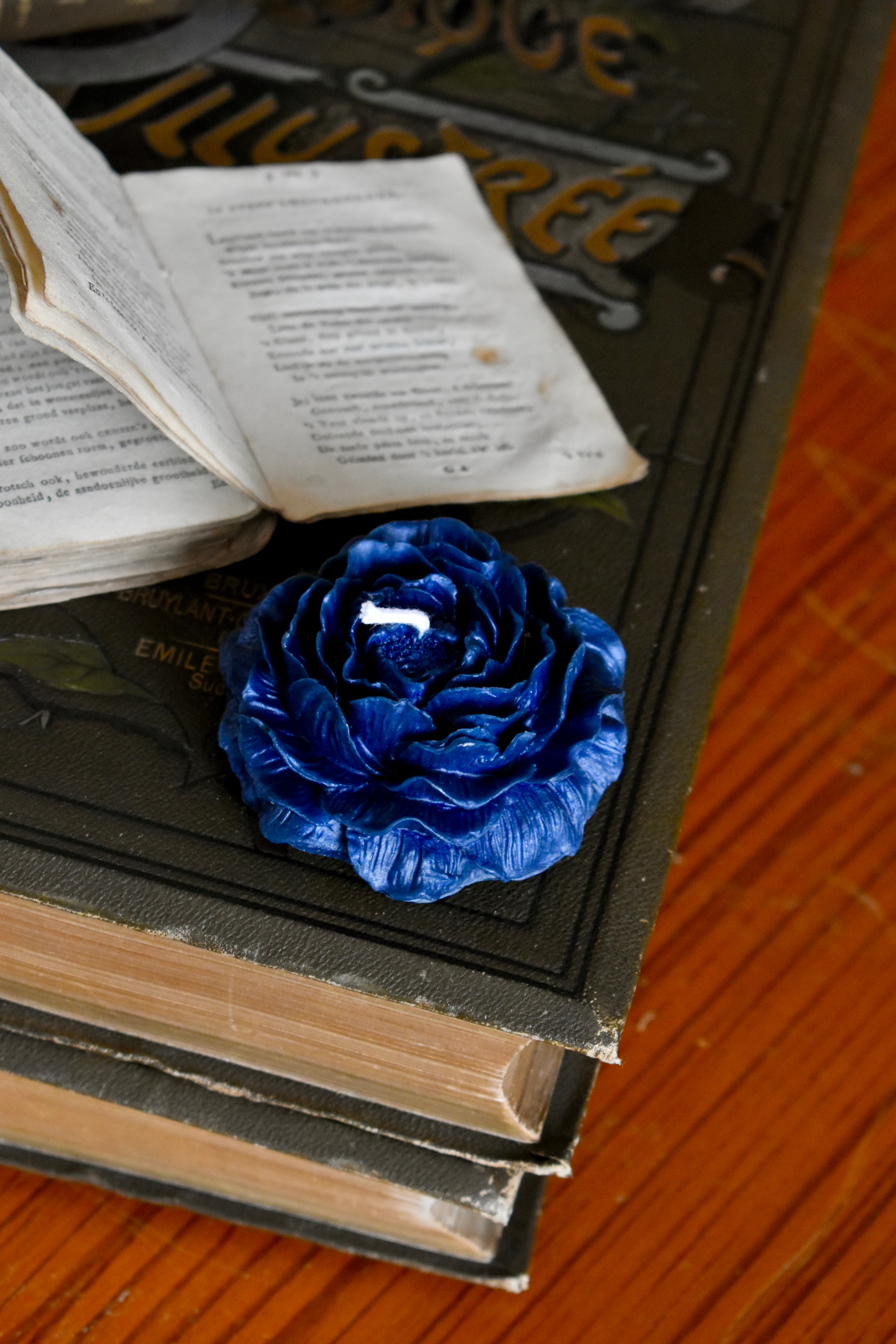 beeswax bloom