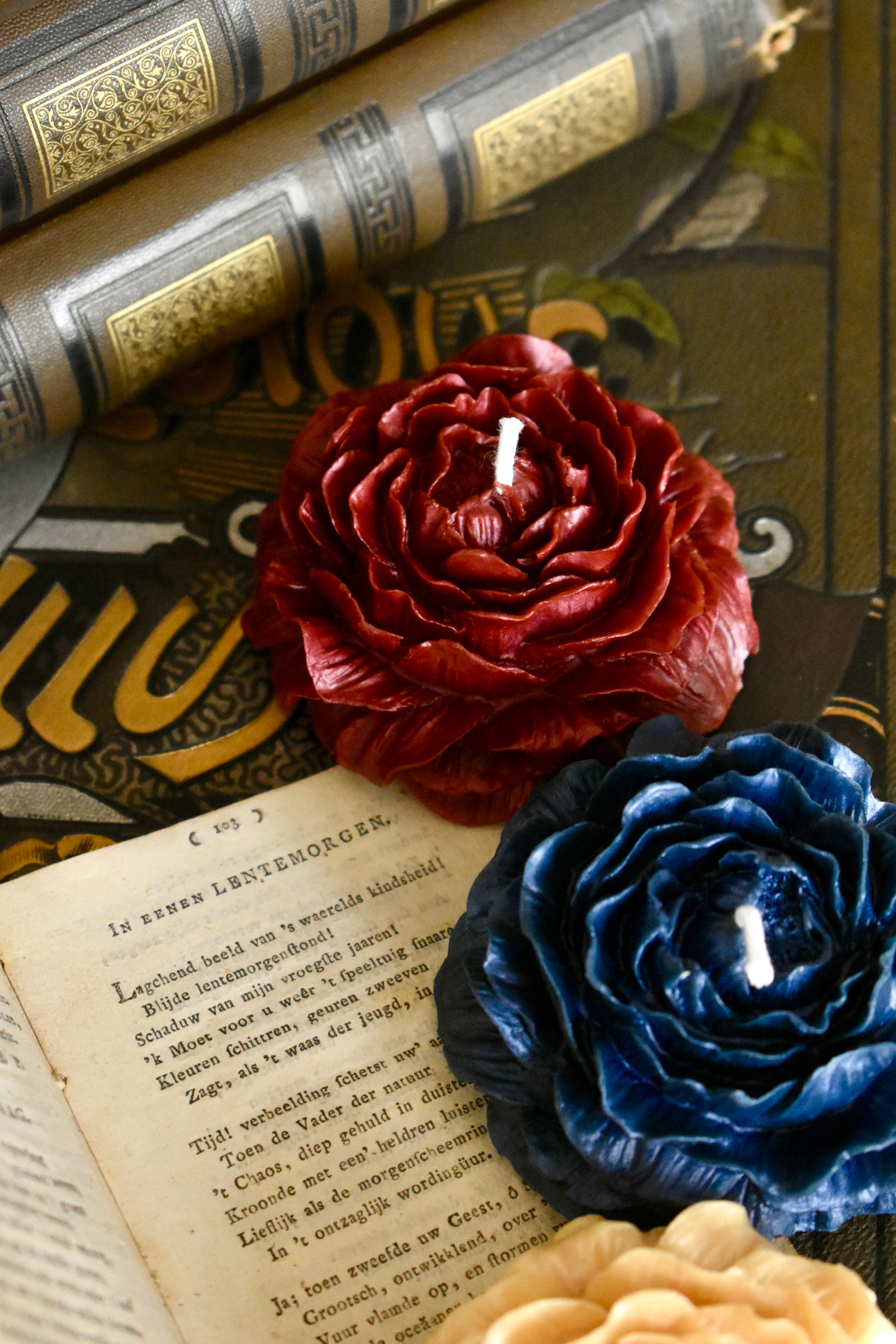 beeswax bloom
