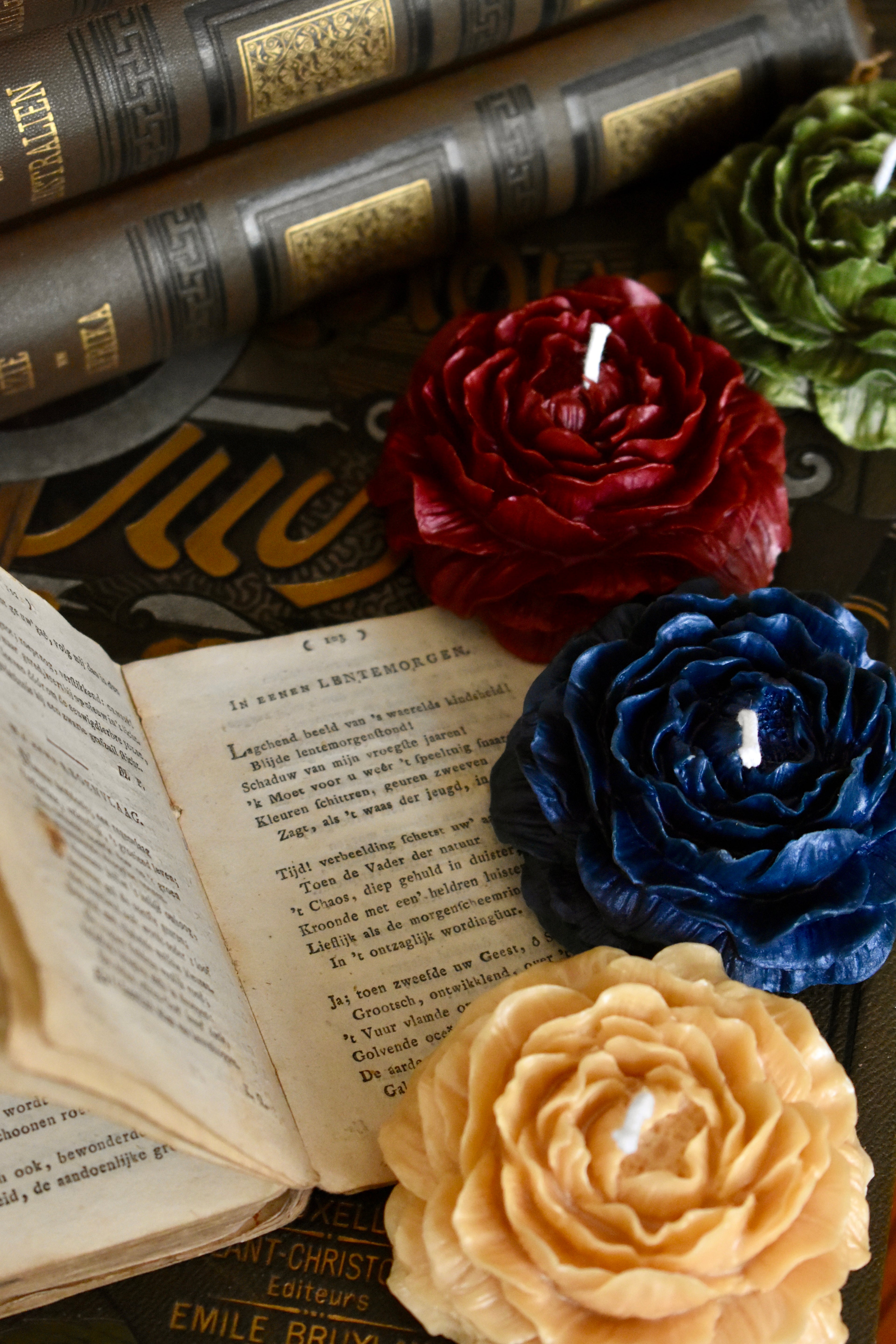 beeswax bloom