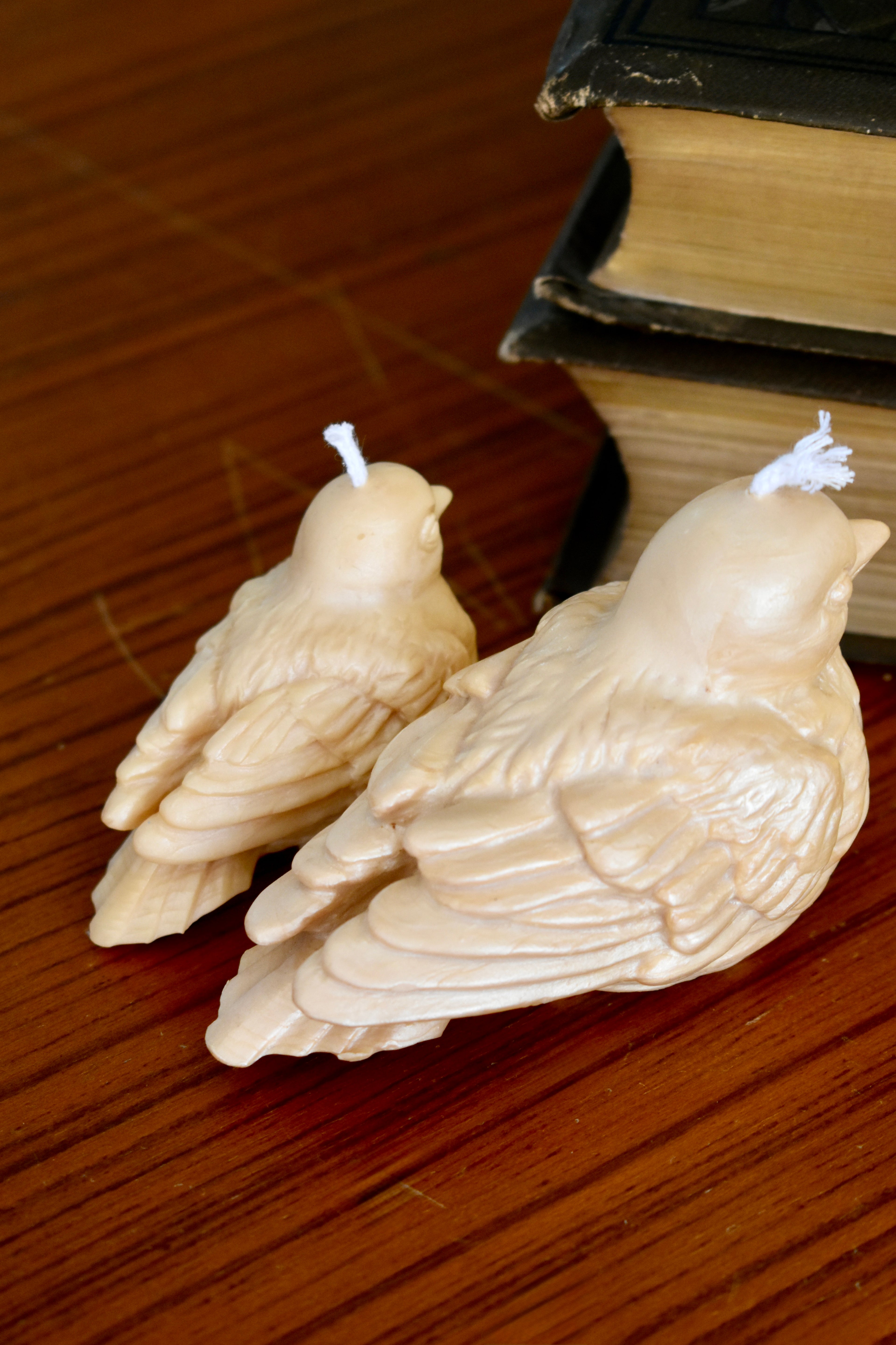 beeswax bird
