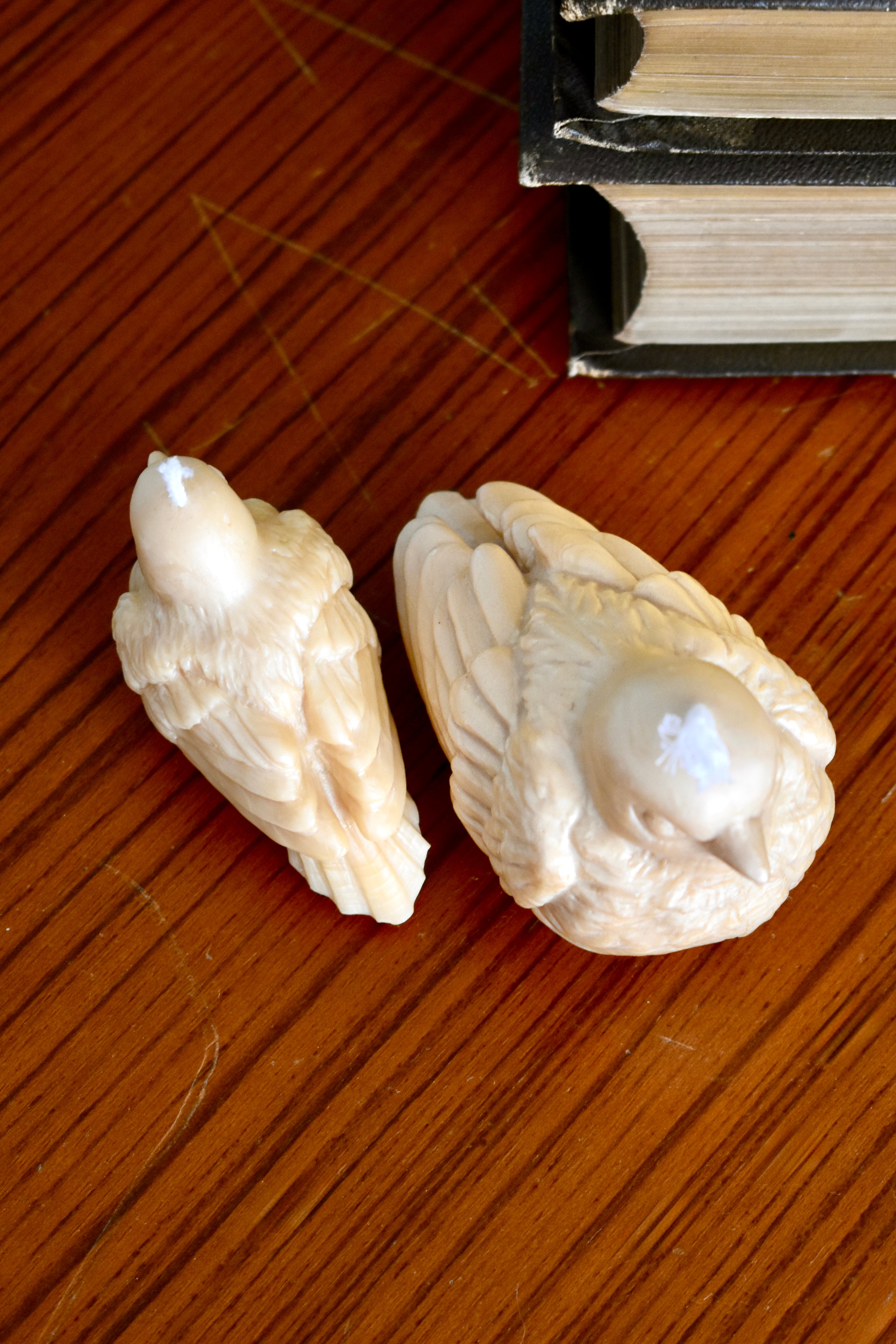 beeswax bird