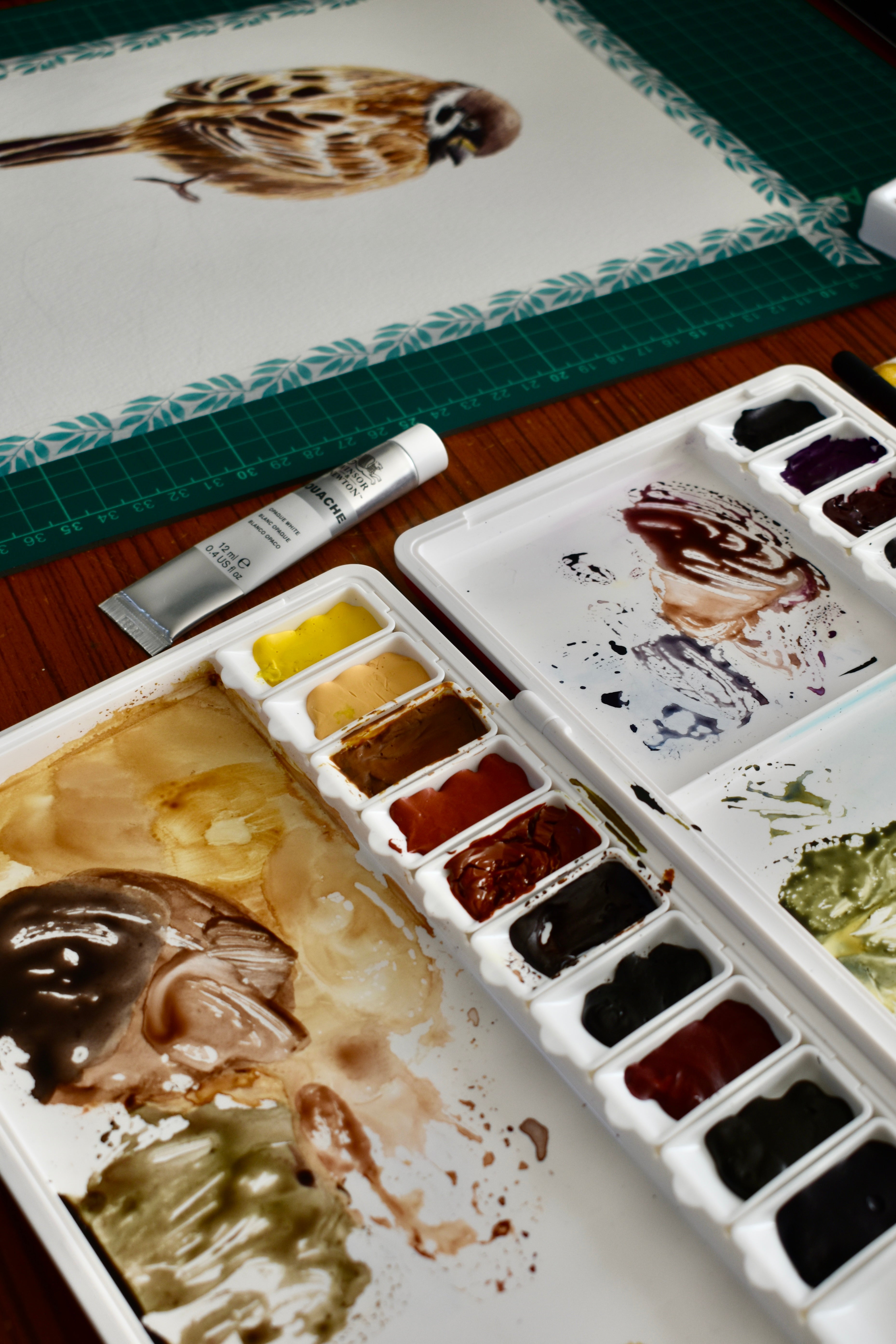 the watching magpie: watercolor art print