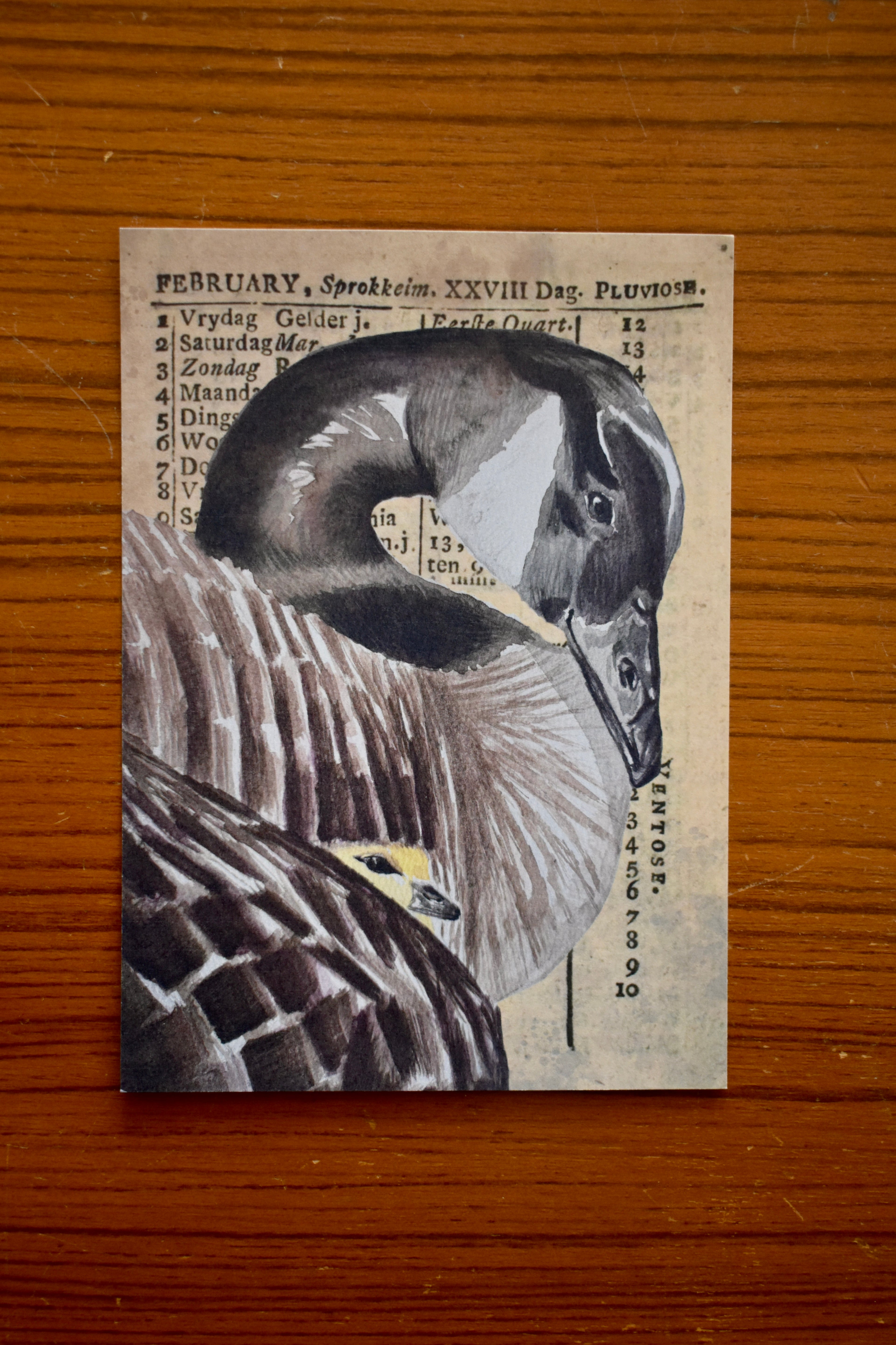 the cherished goose: watercolor art print