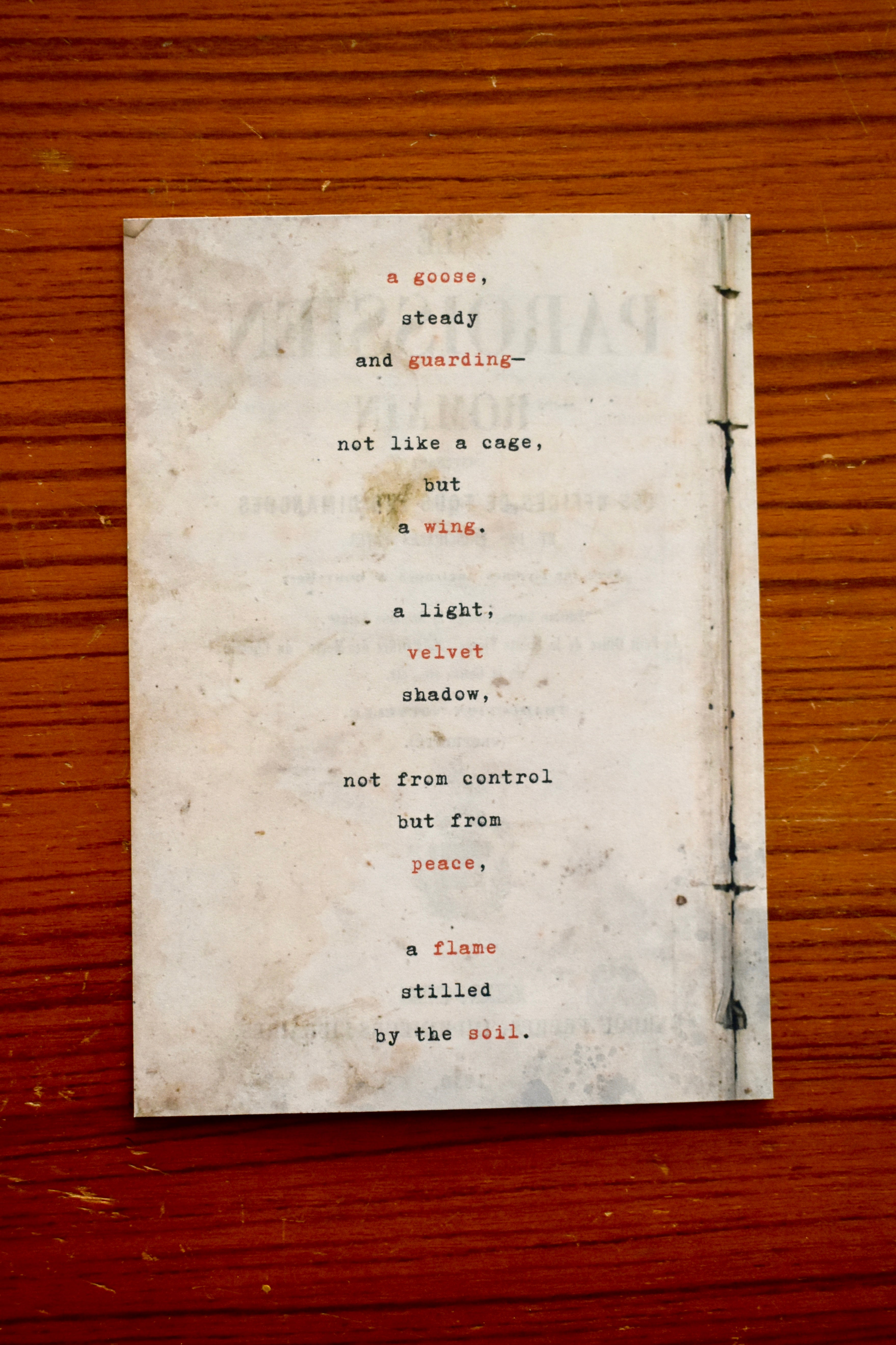 the cherished goose: a poem