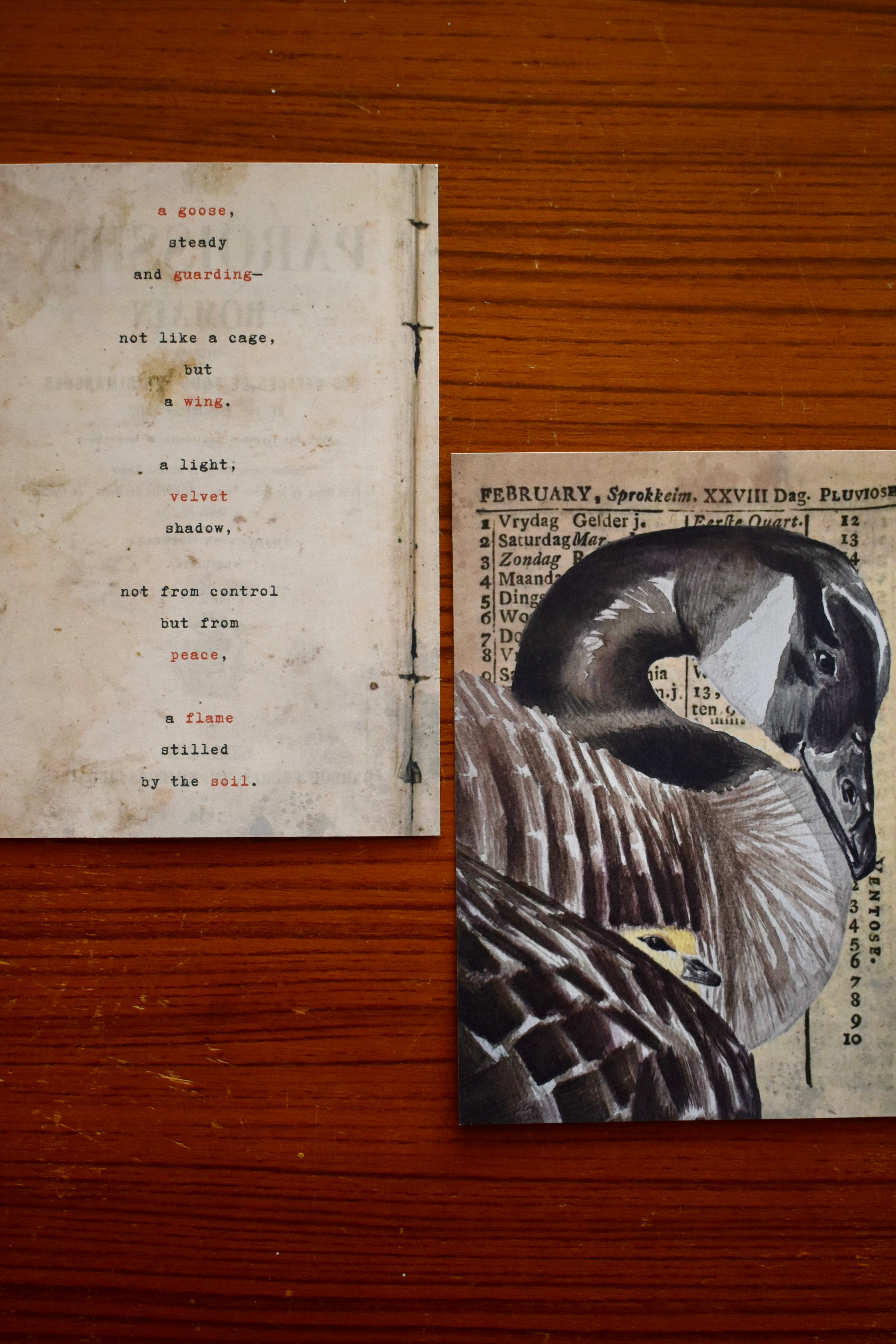 the cherished goose: watercolor art print