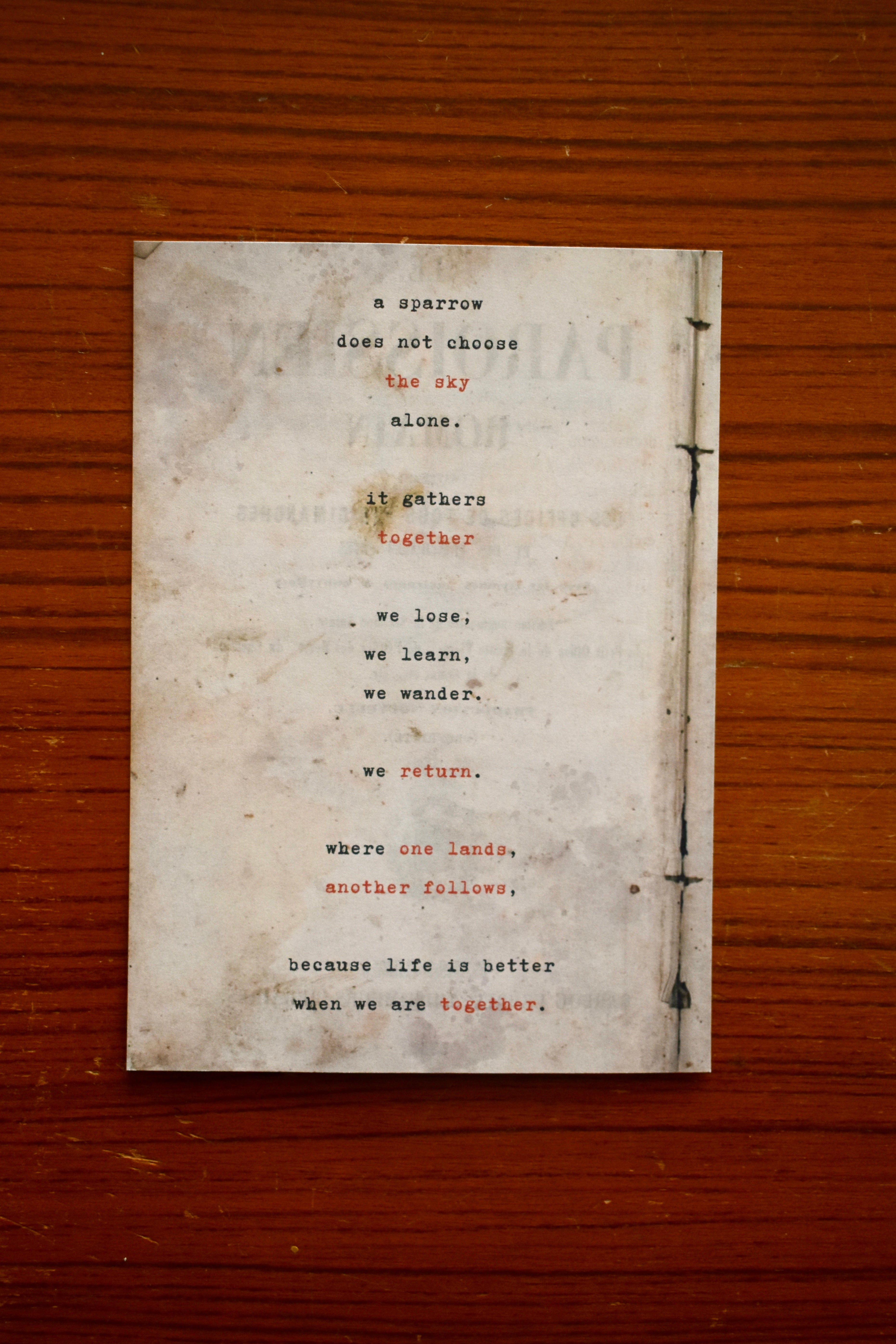 the kindred sparrow: a poem