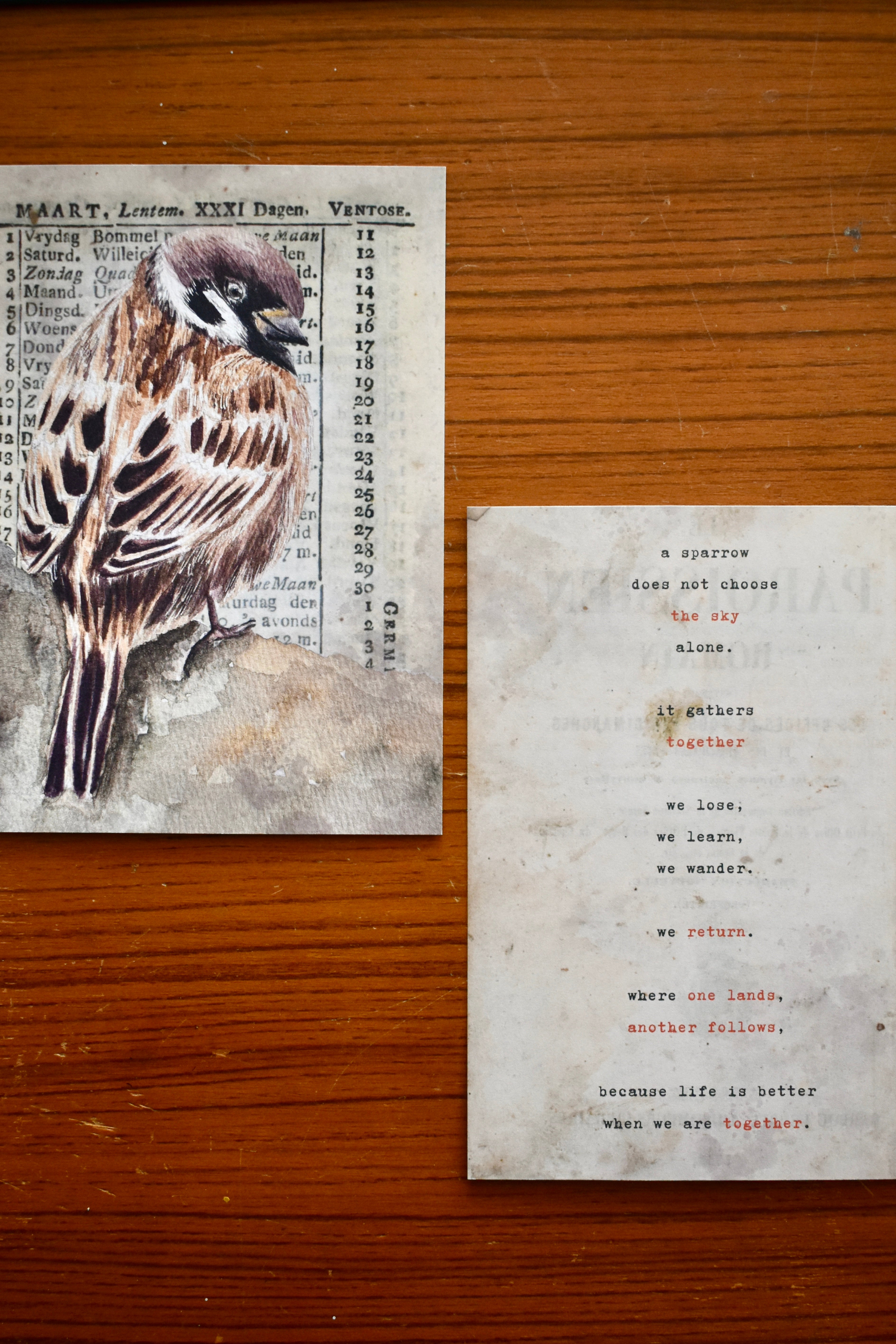 the kindred sparrow: watercolor art print