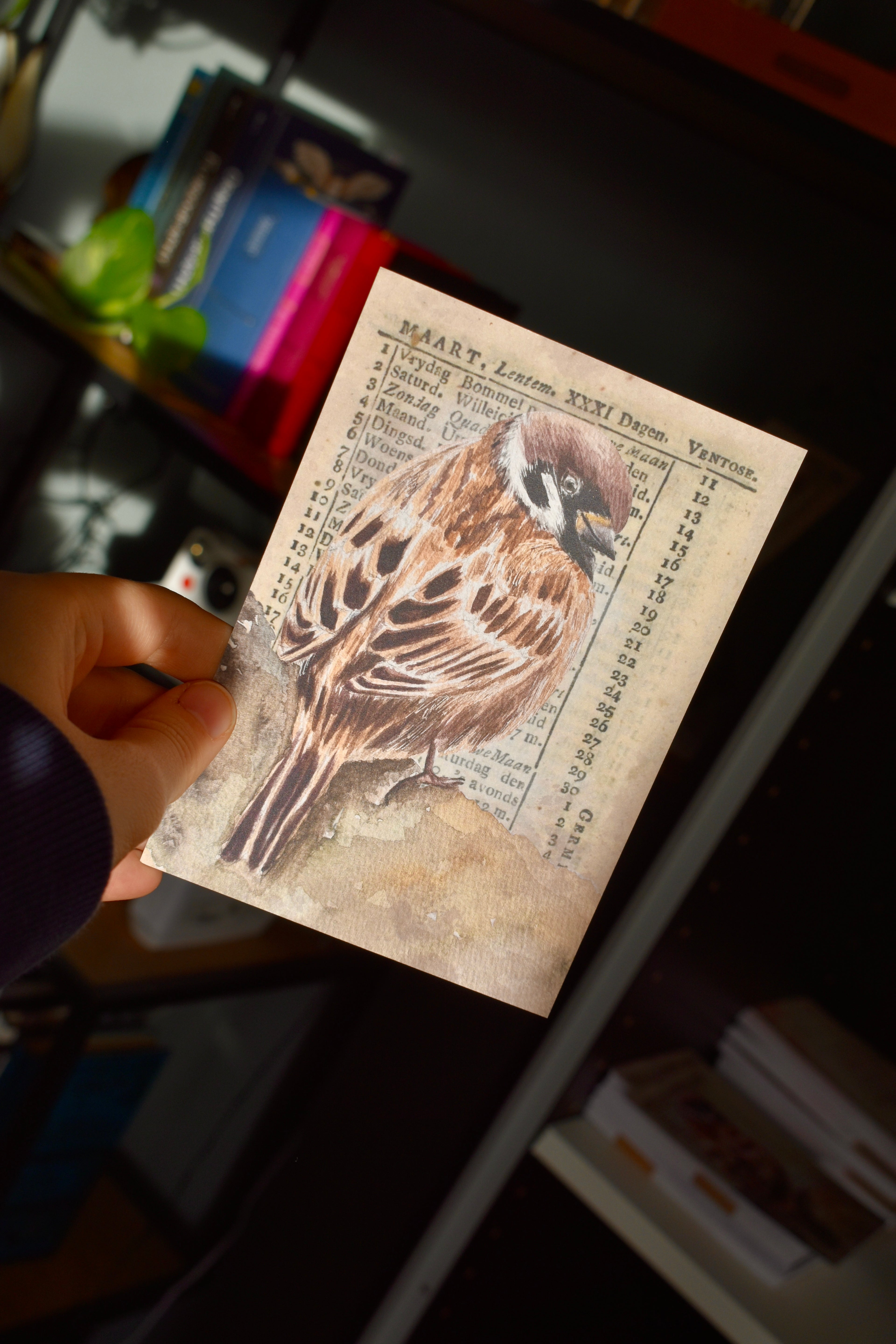 the kindred sparrow: watercolor art print