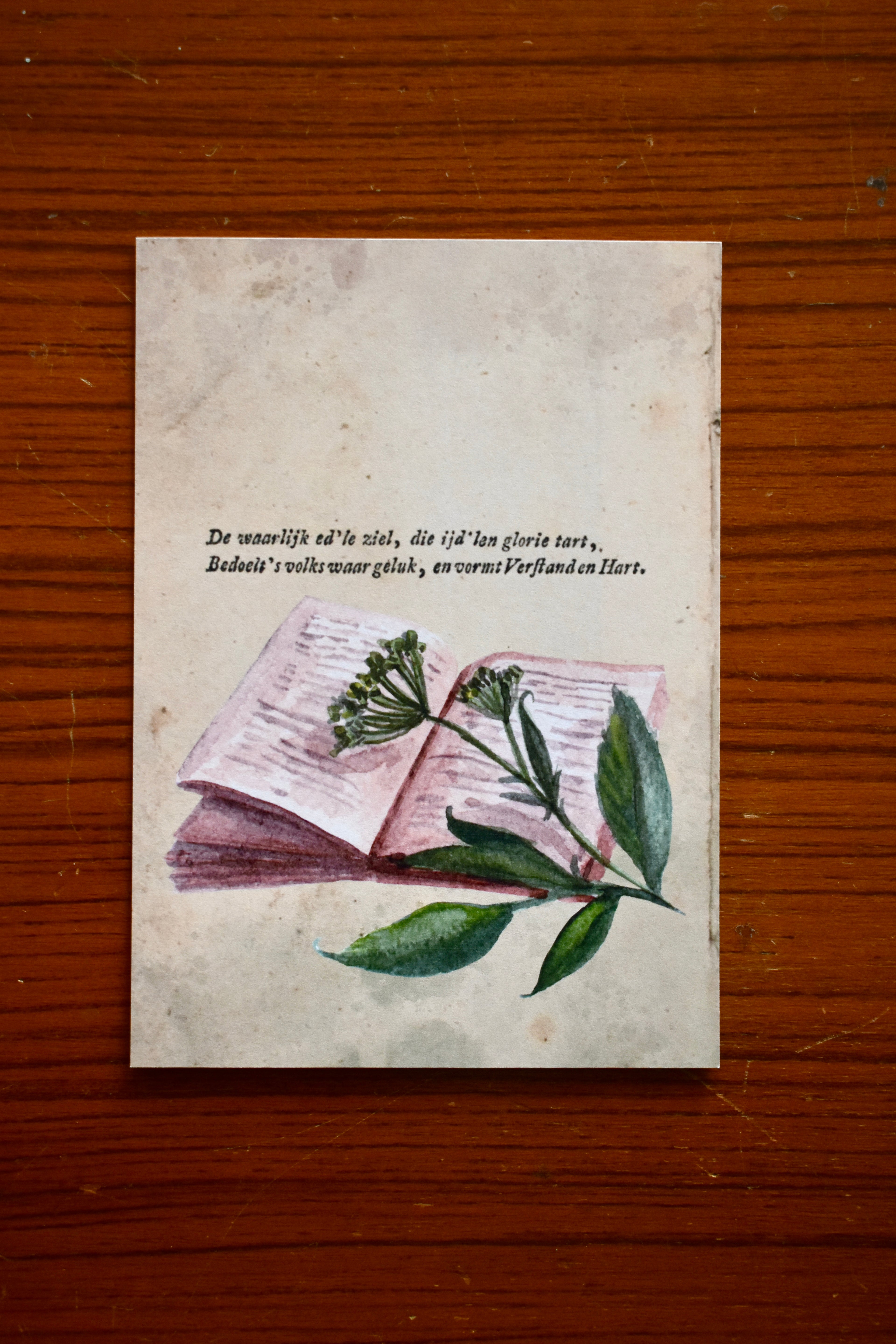 botanical study