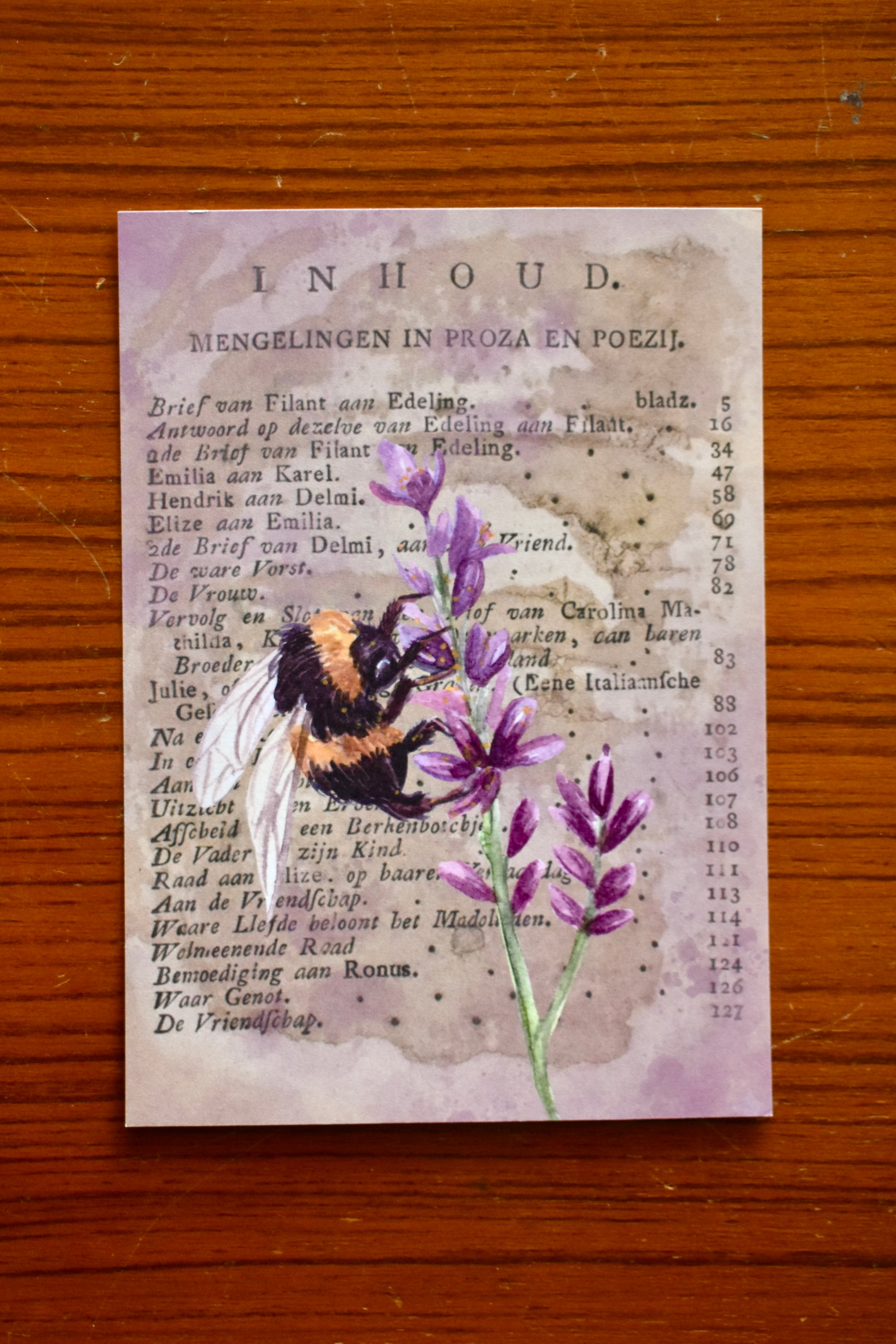 curious bee
