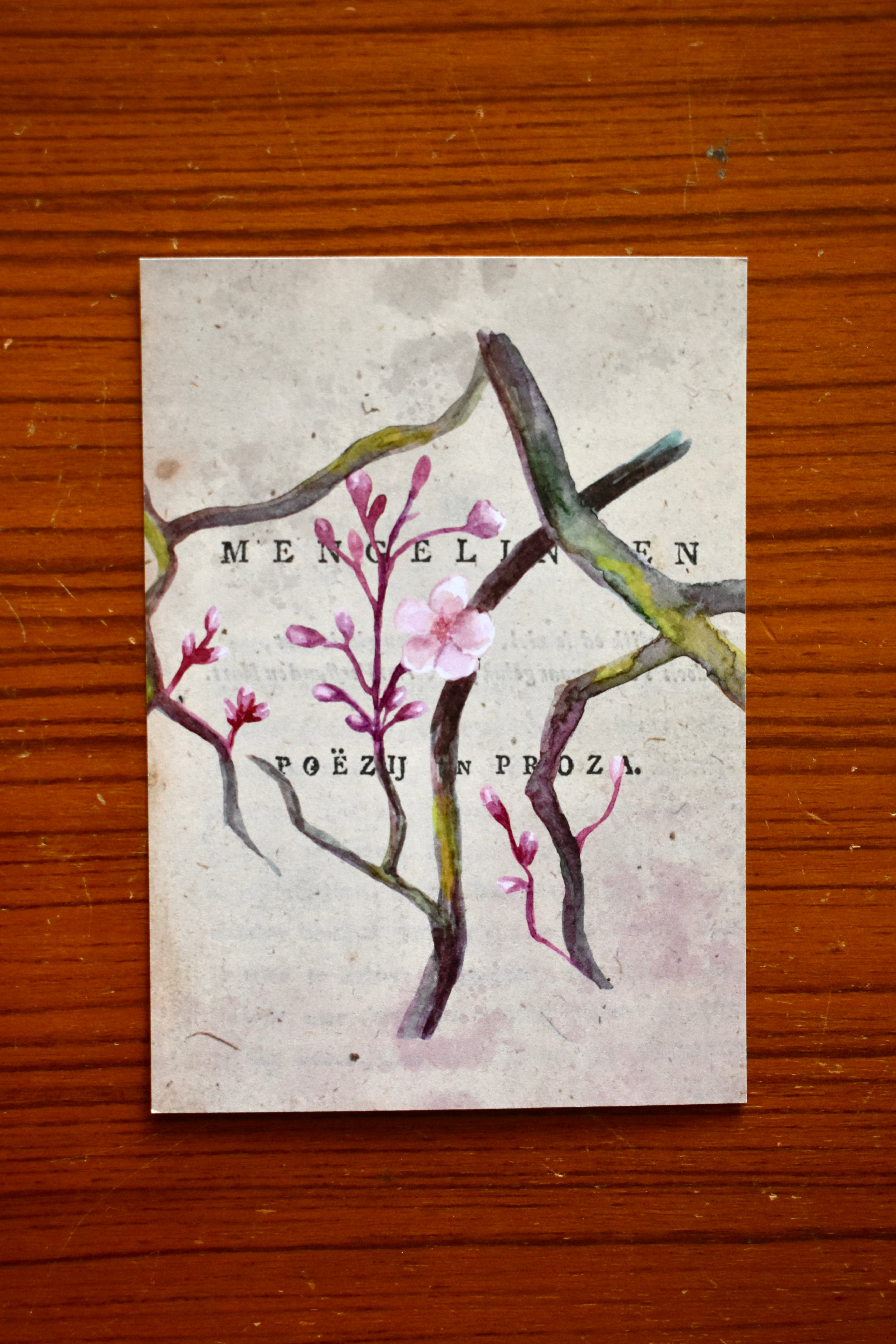 spring blossom