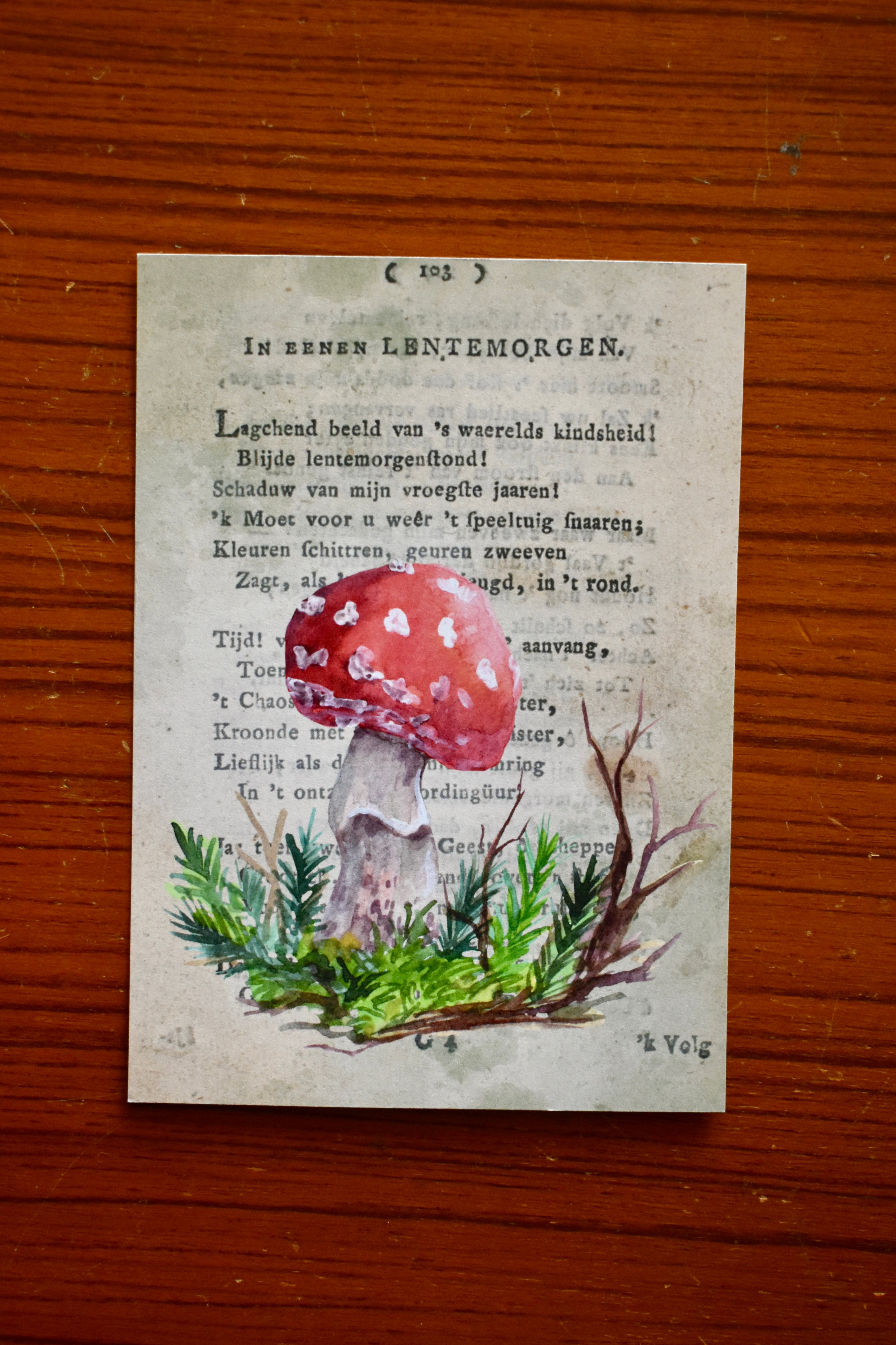 red cap mushroom