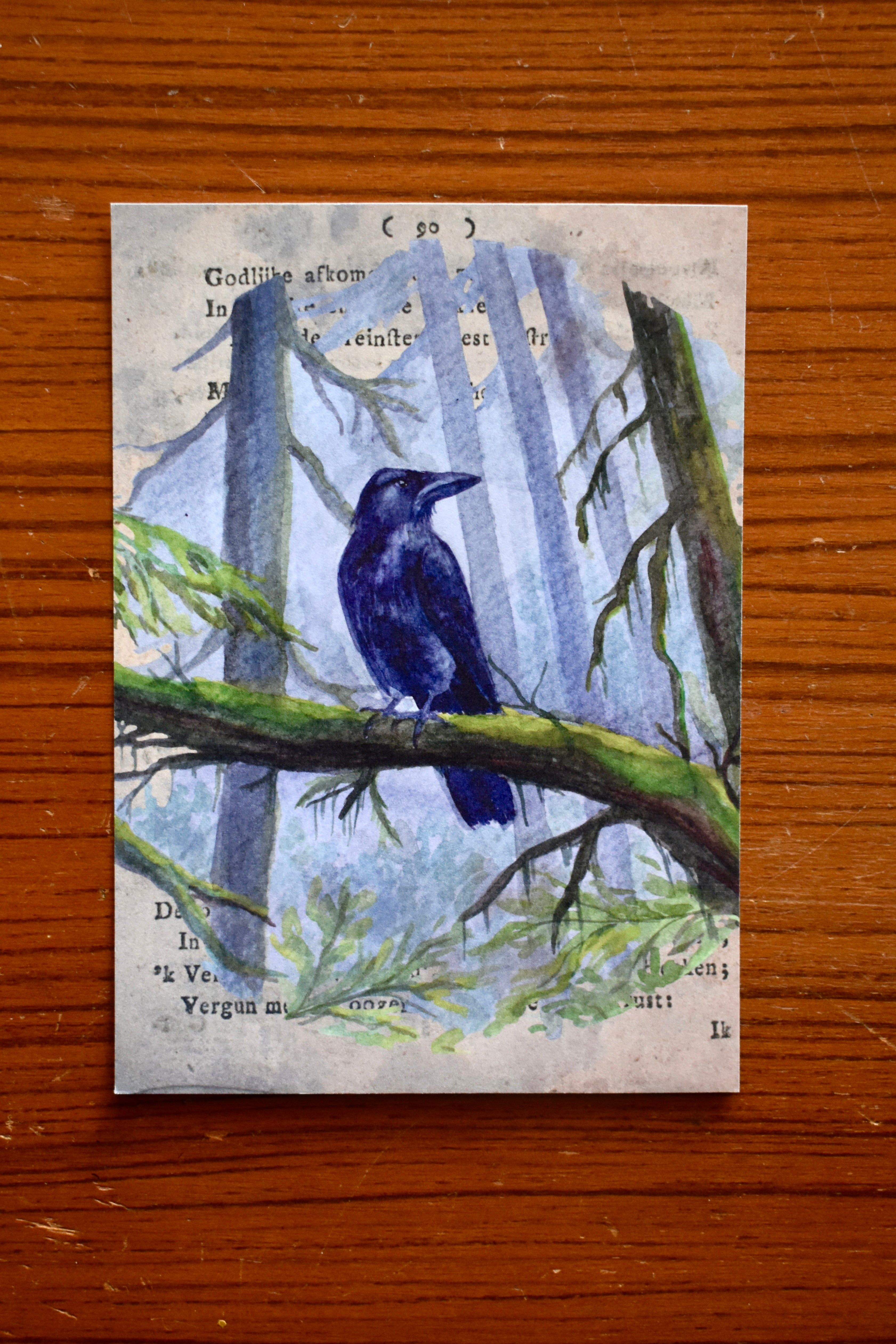 peaceful raven