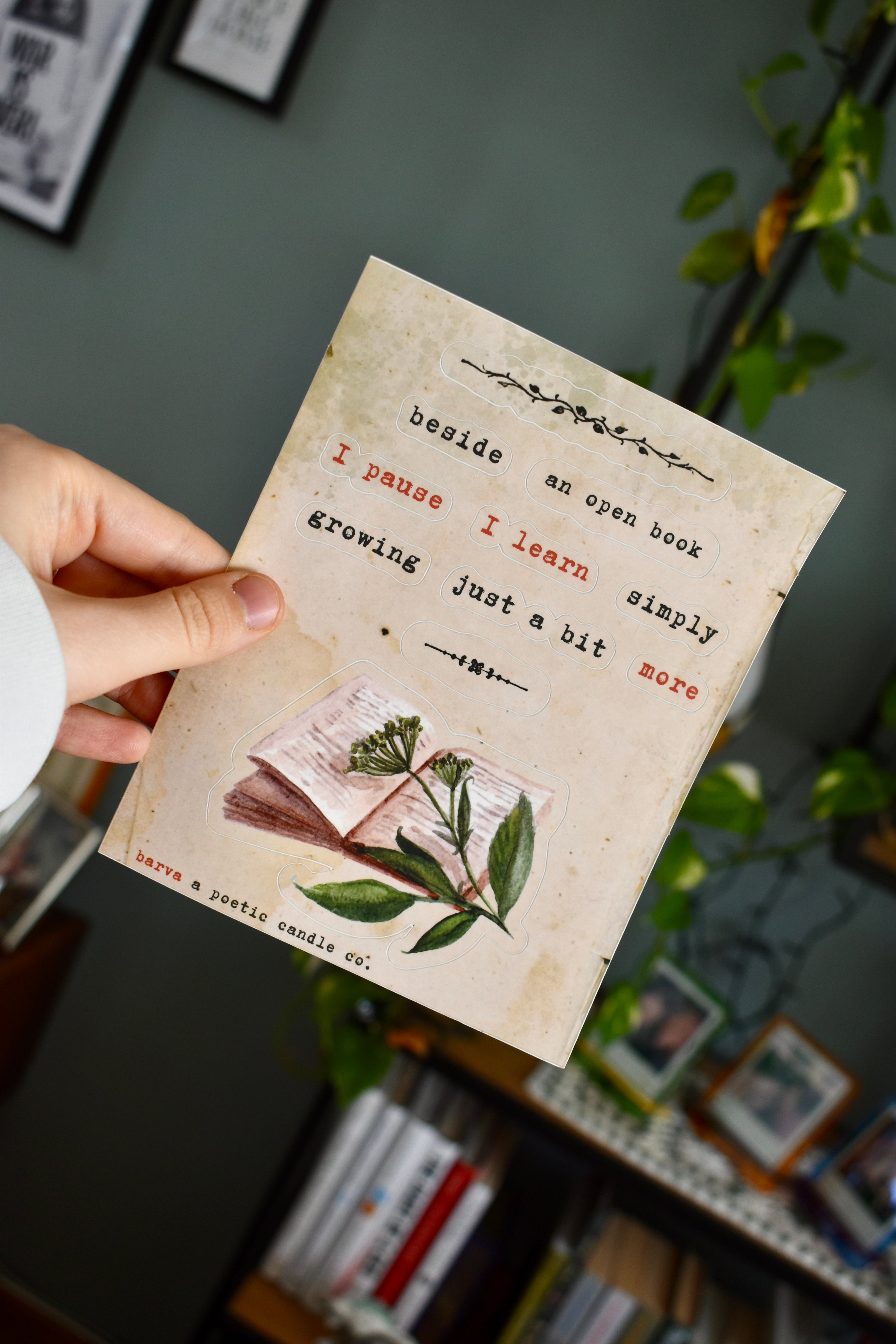 botanical study: poetic sticker sheet