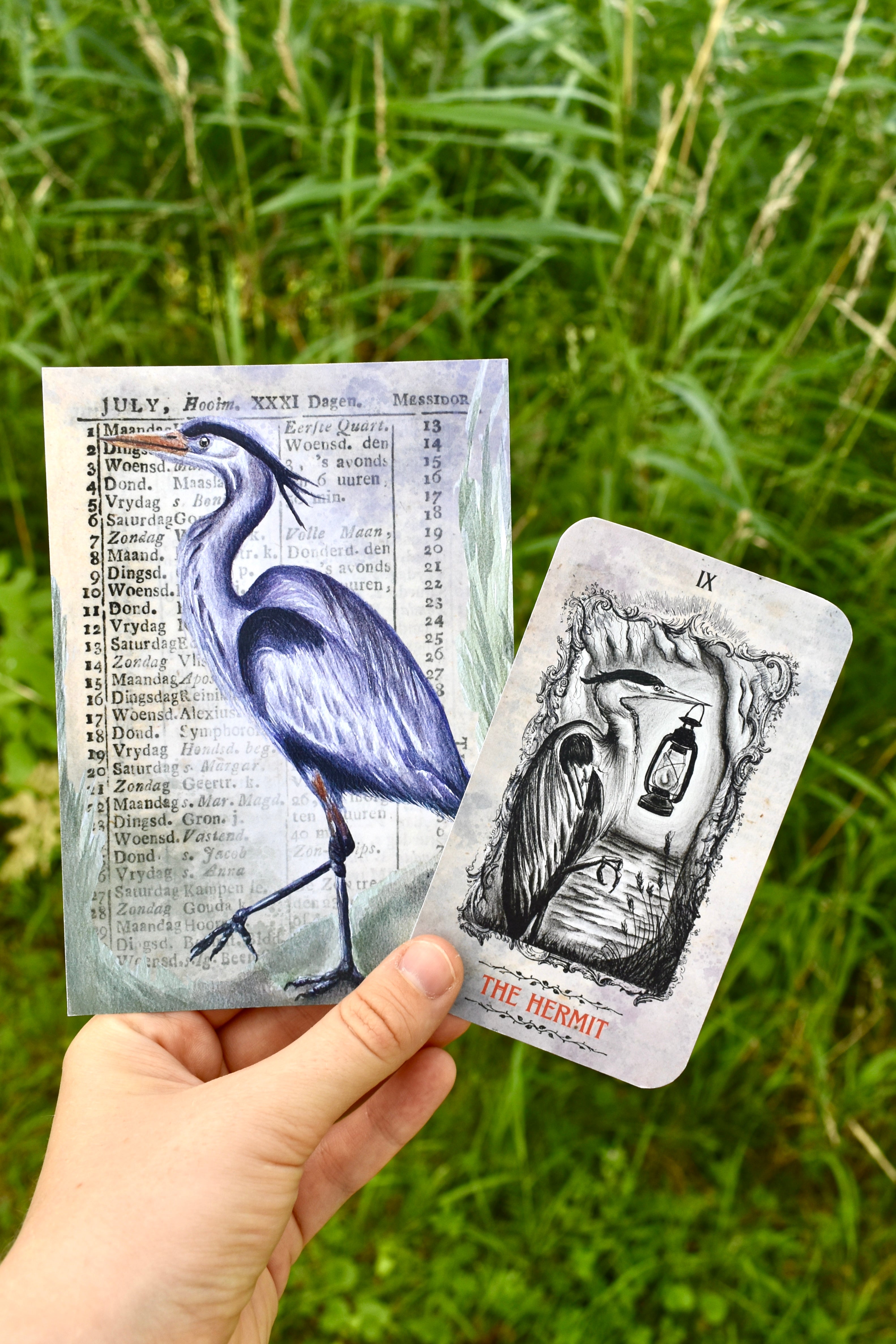 July Feather Club: The Grey Heron