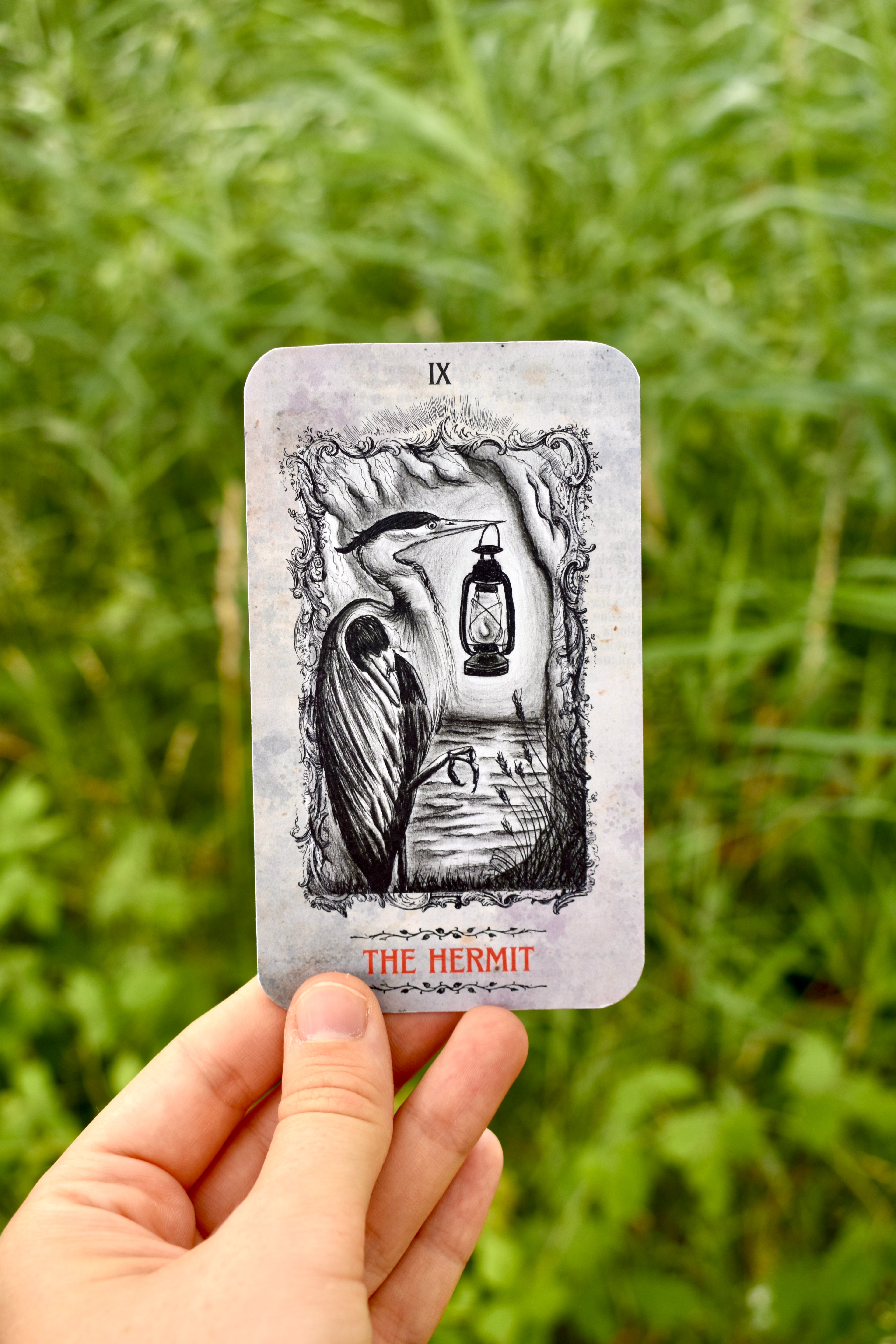 July Feather Club: The Grey Heron