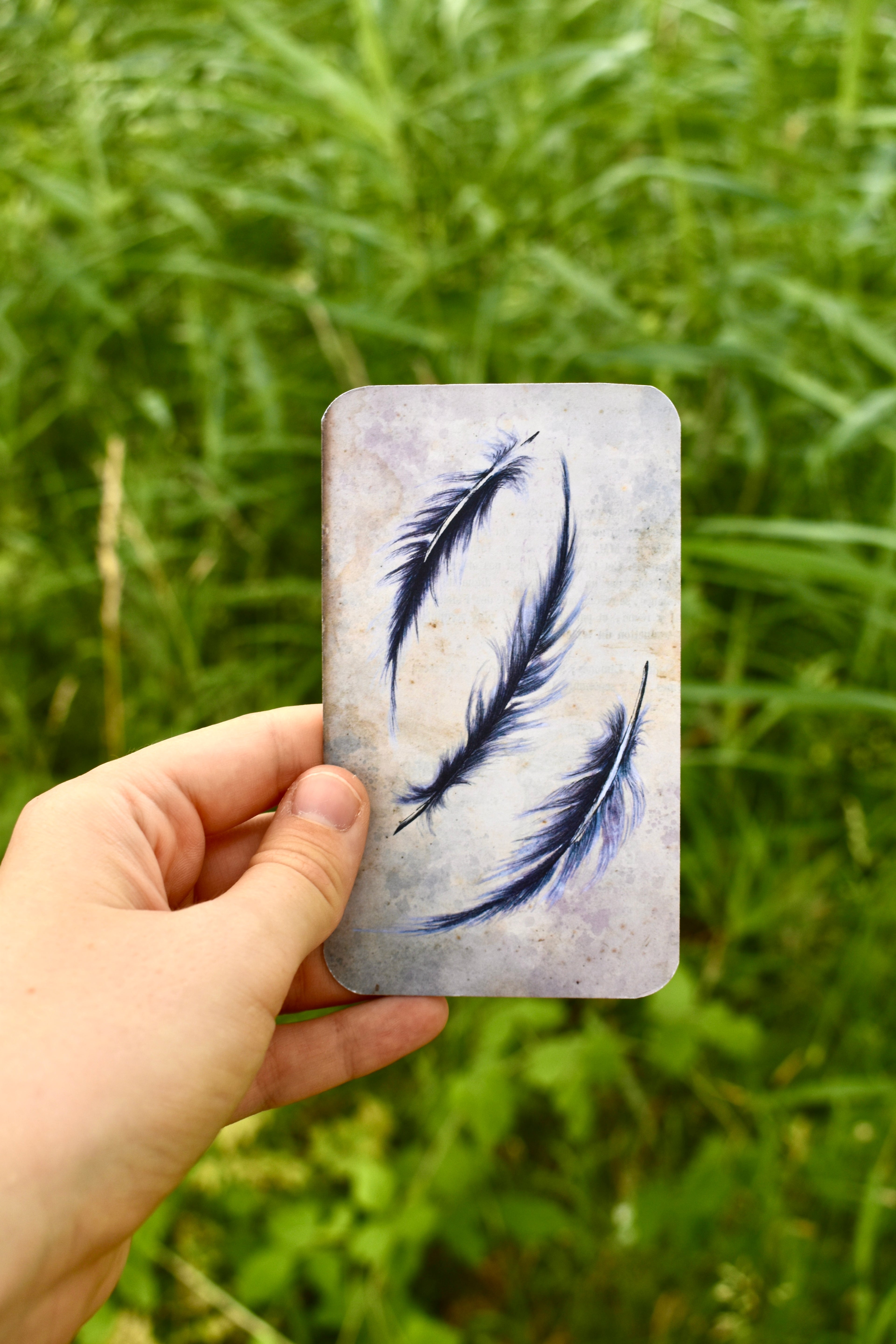 July Feather Club: The Grey Heron