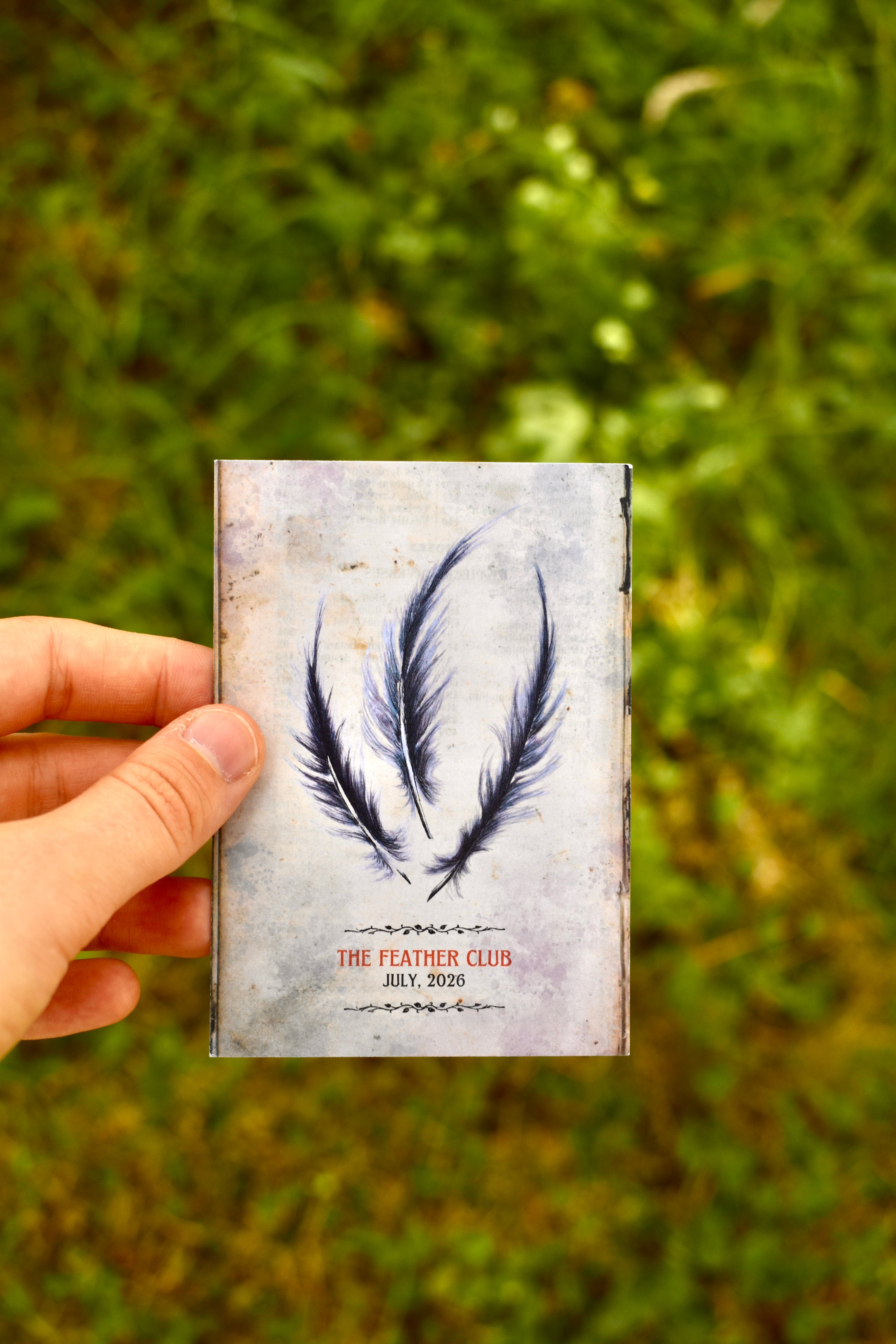 July Feather Club: The Grey Heron