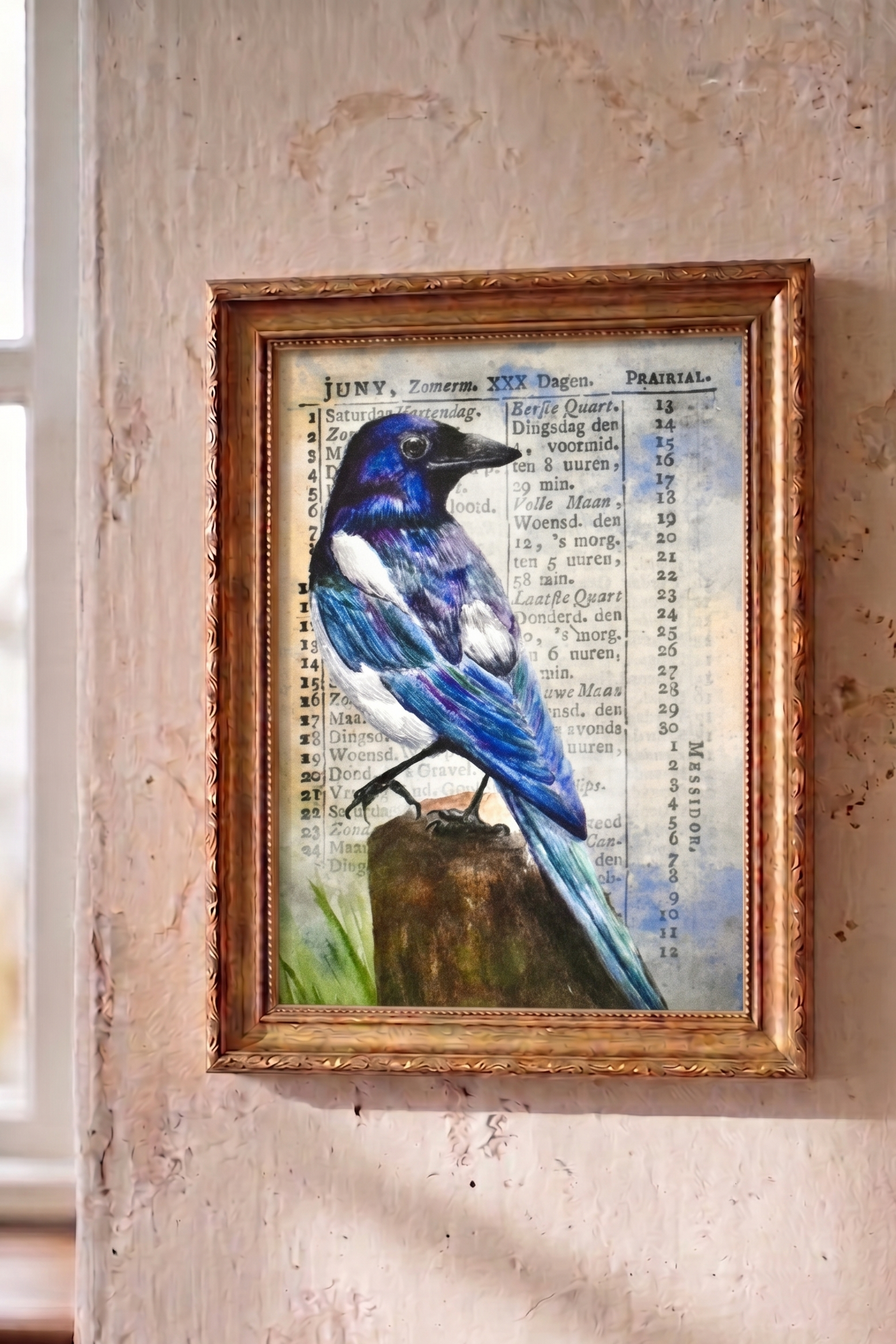 the watching magpie: watercolor art print