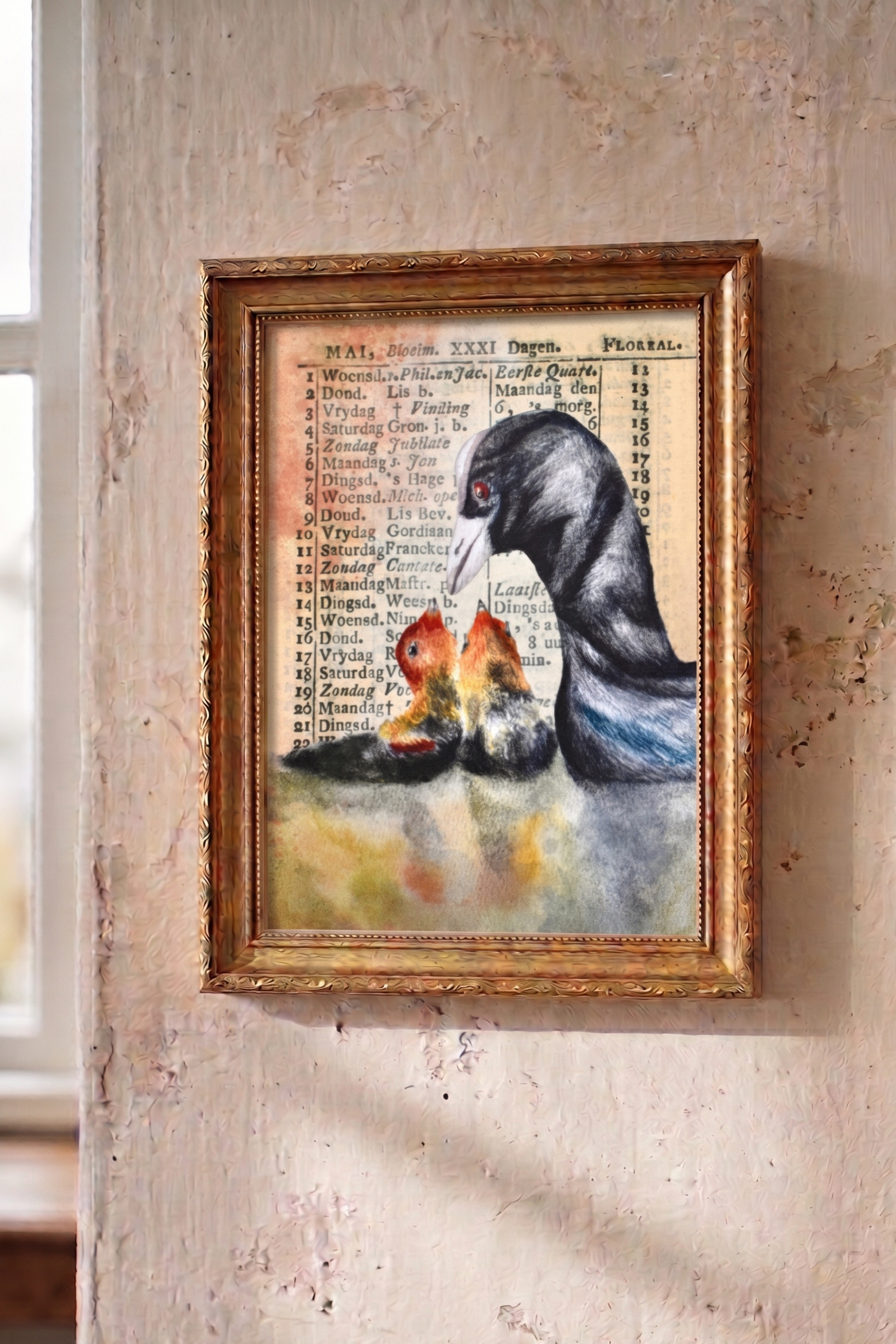 the tender coot: watercolor art print