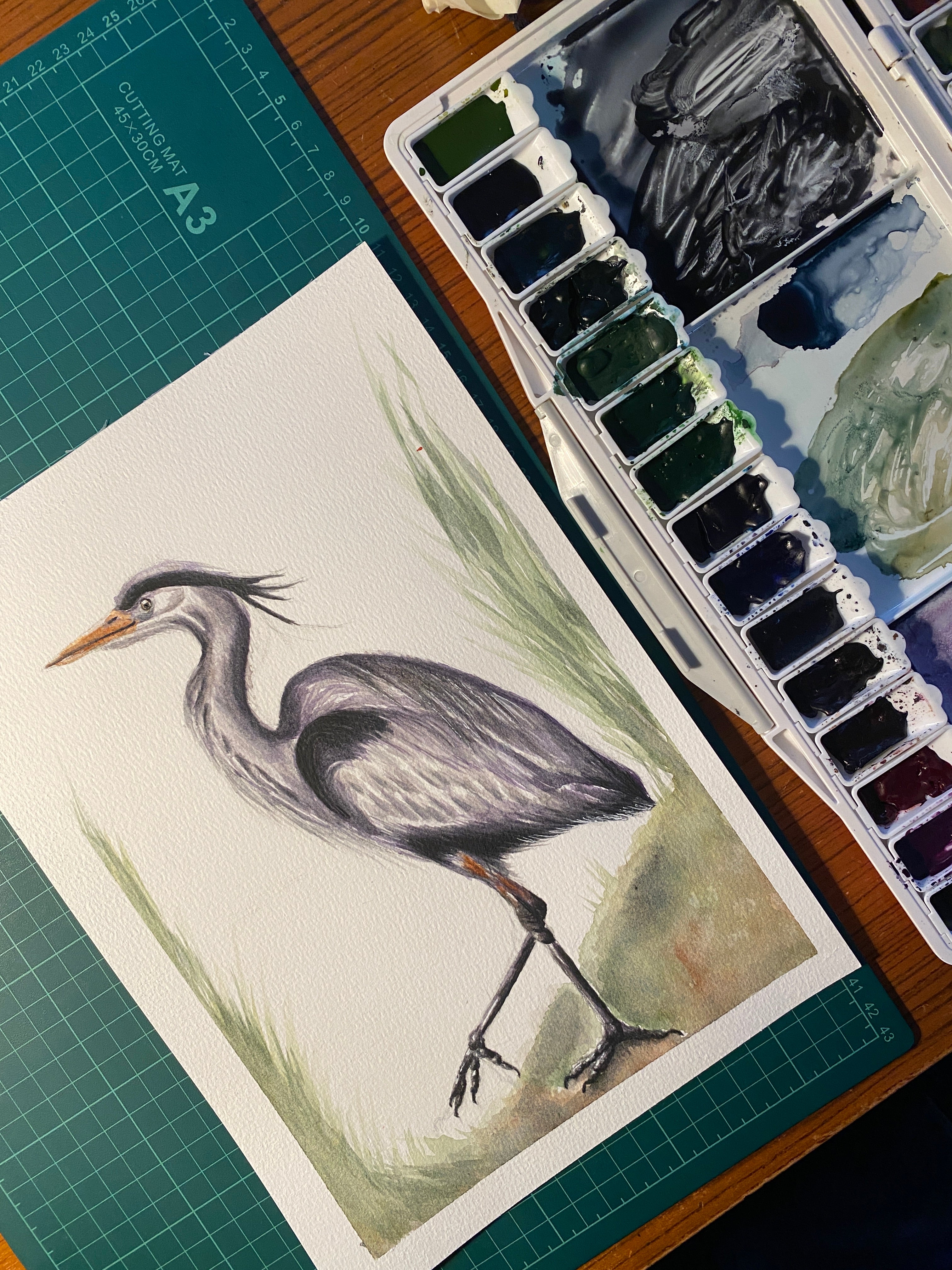 the great heron: watercolor art print